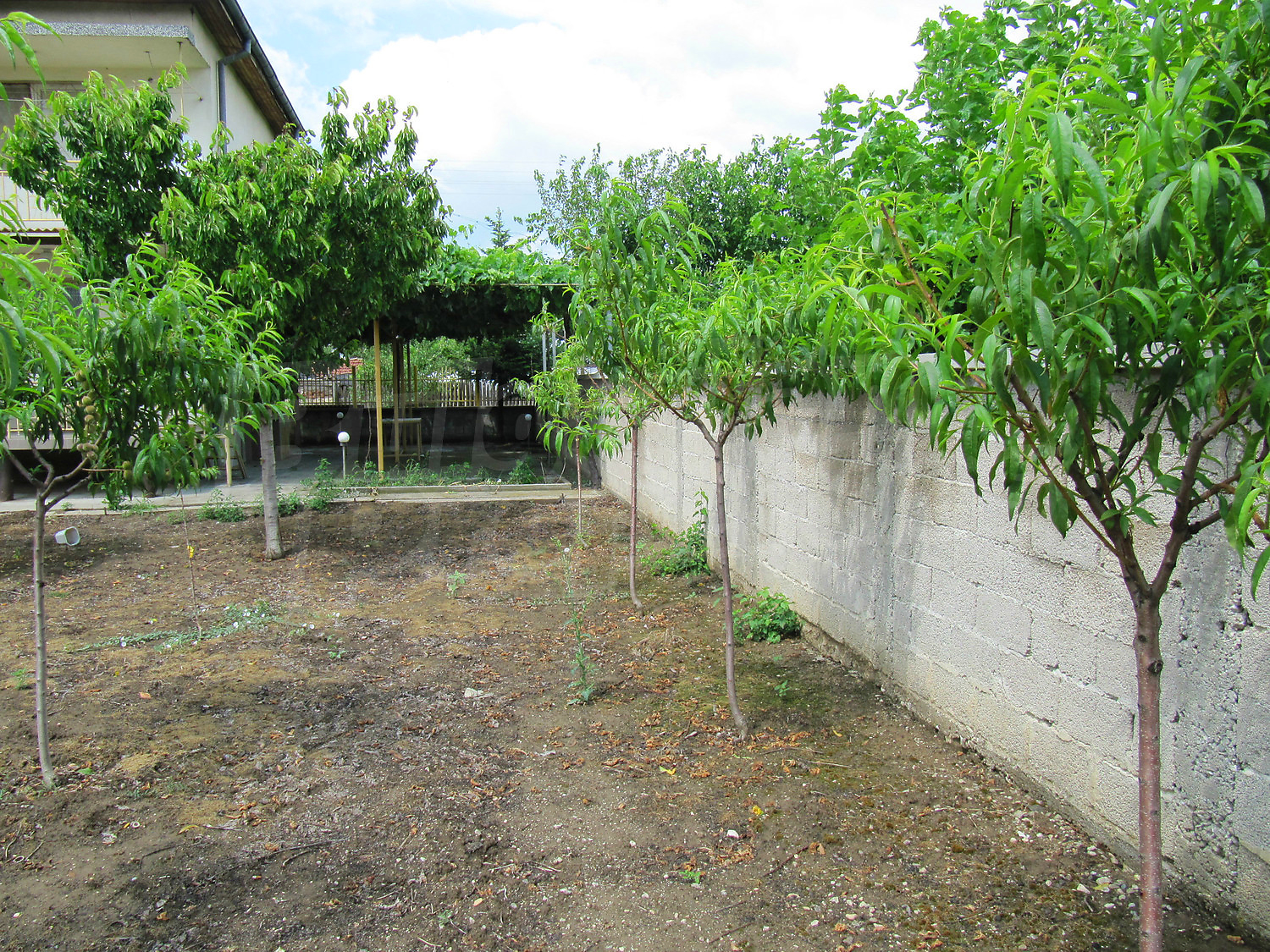 Gallery Picture 26