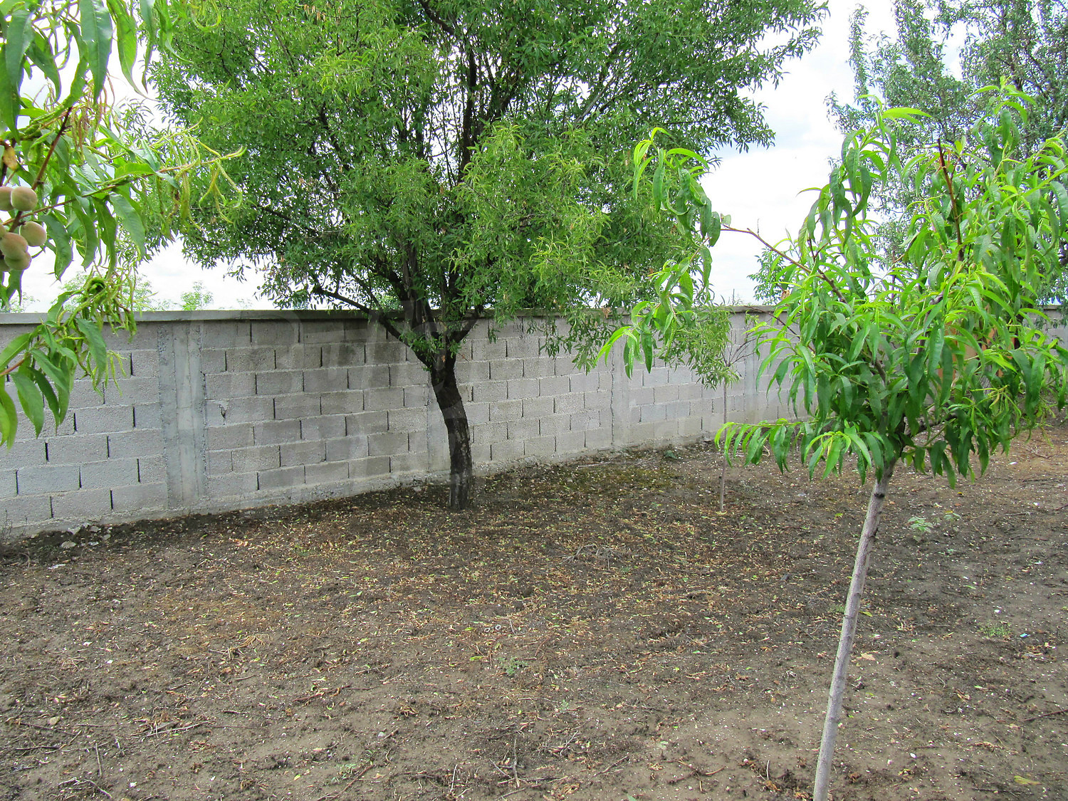 Gallery Picture 39