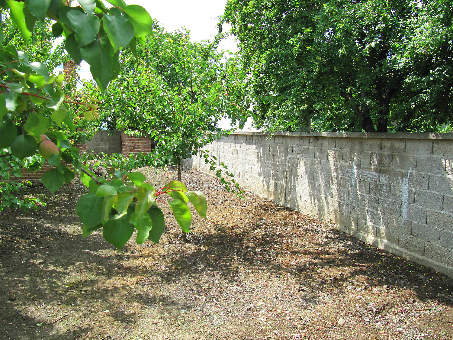 Gallery Picture 49
