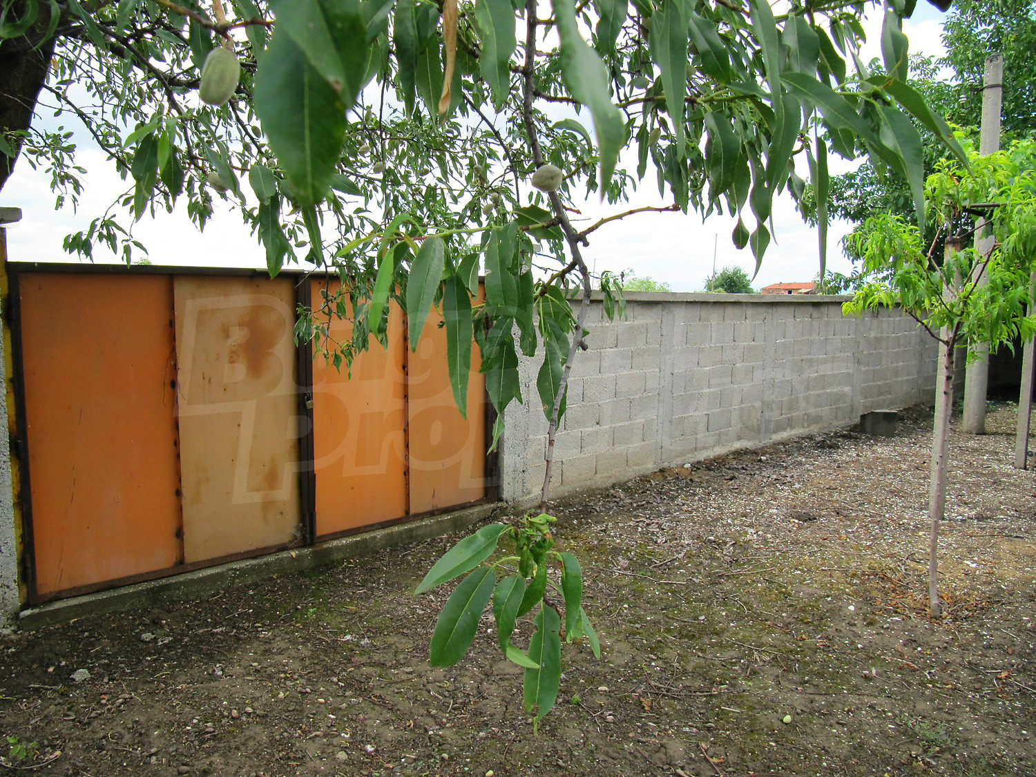 Gallery Picture 58
