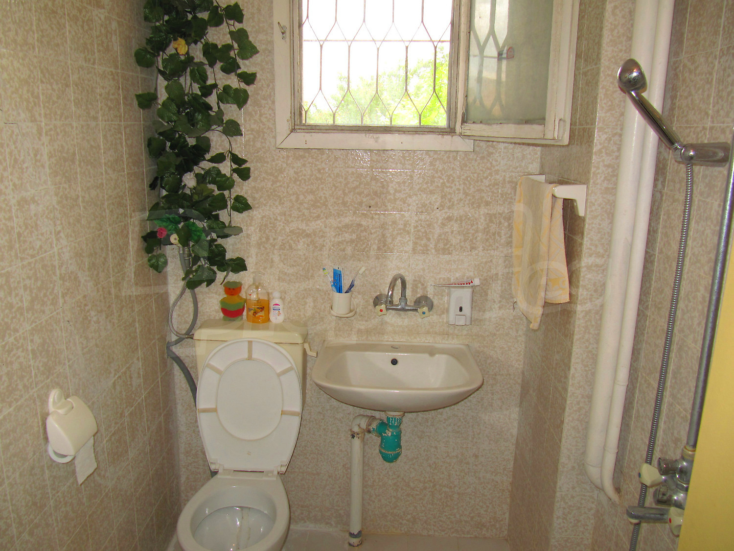 Gallery Picture 8