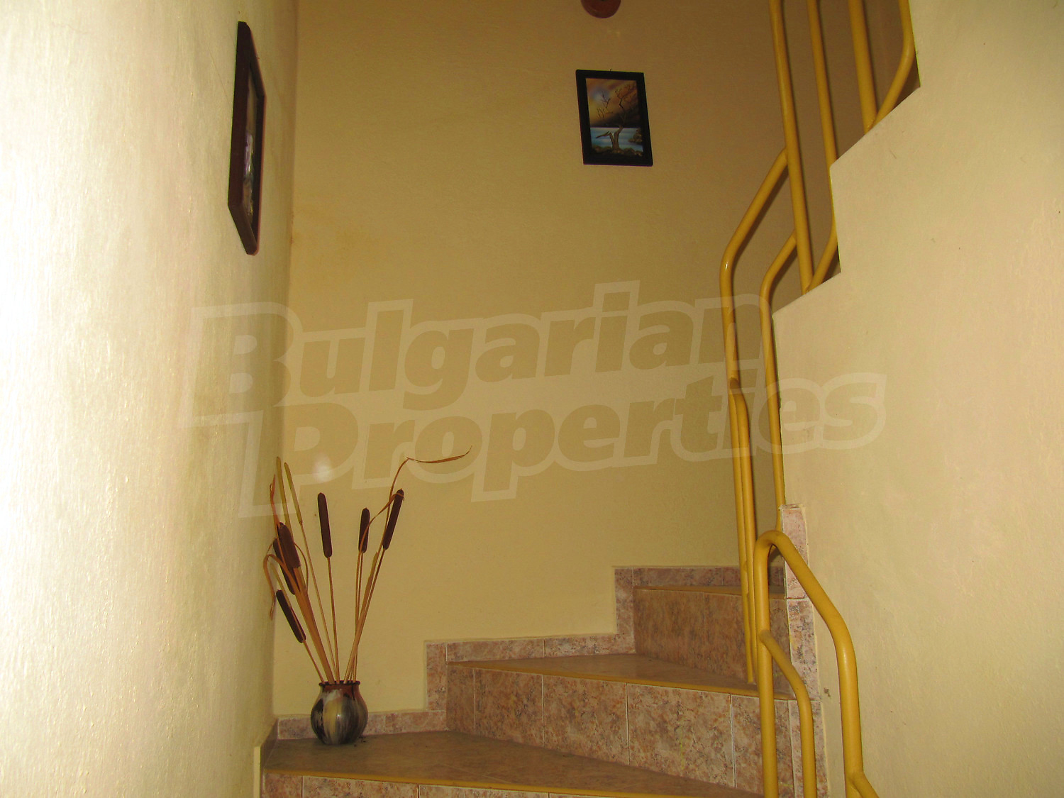 Gallery Picture 9