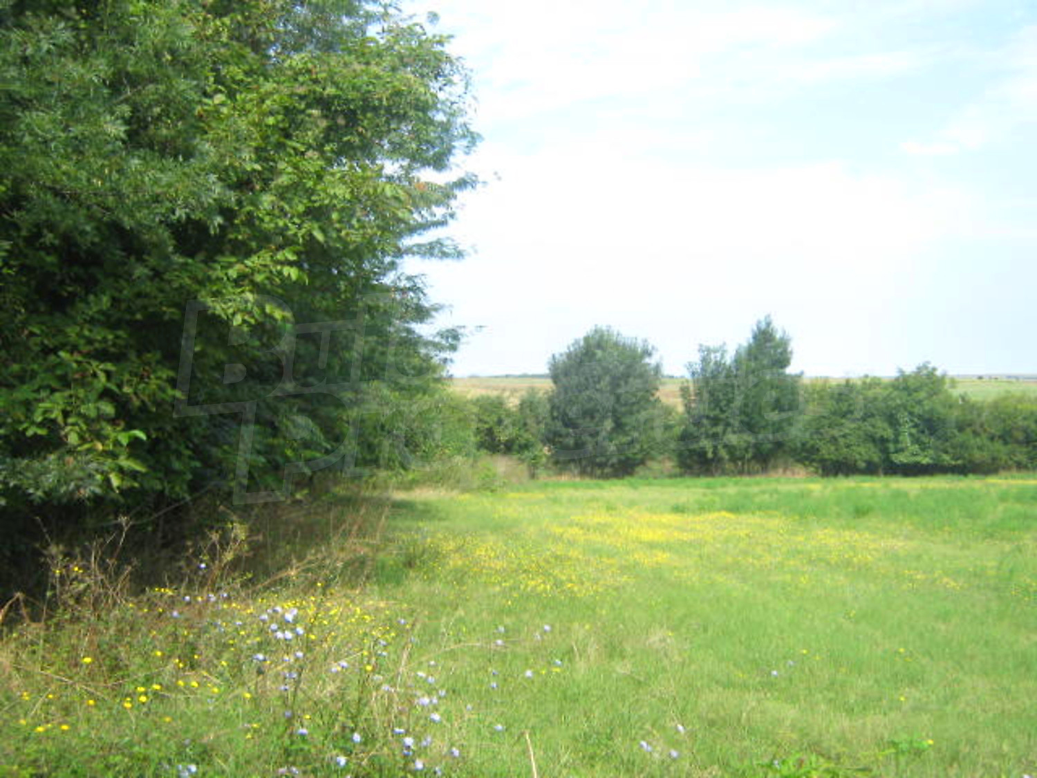 Gallery Picture 3