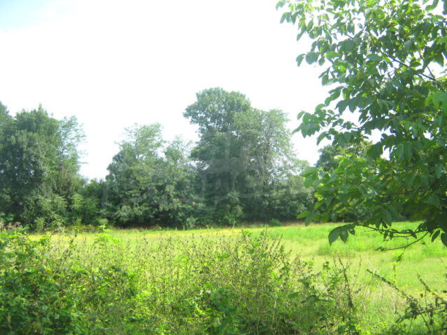 Gallery Picture 4