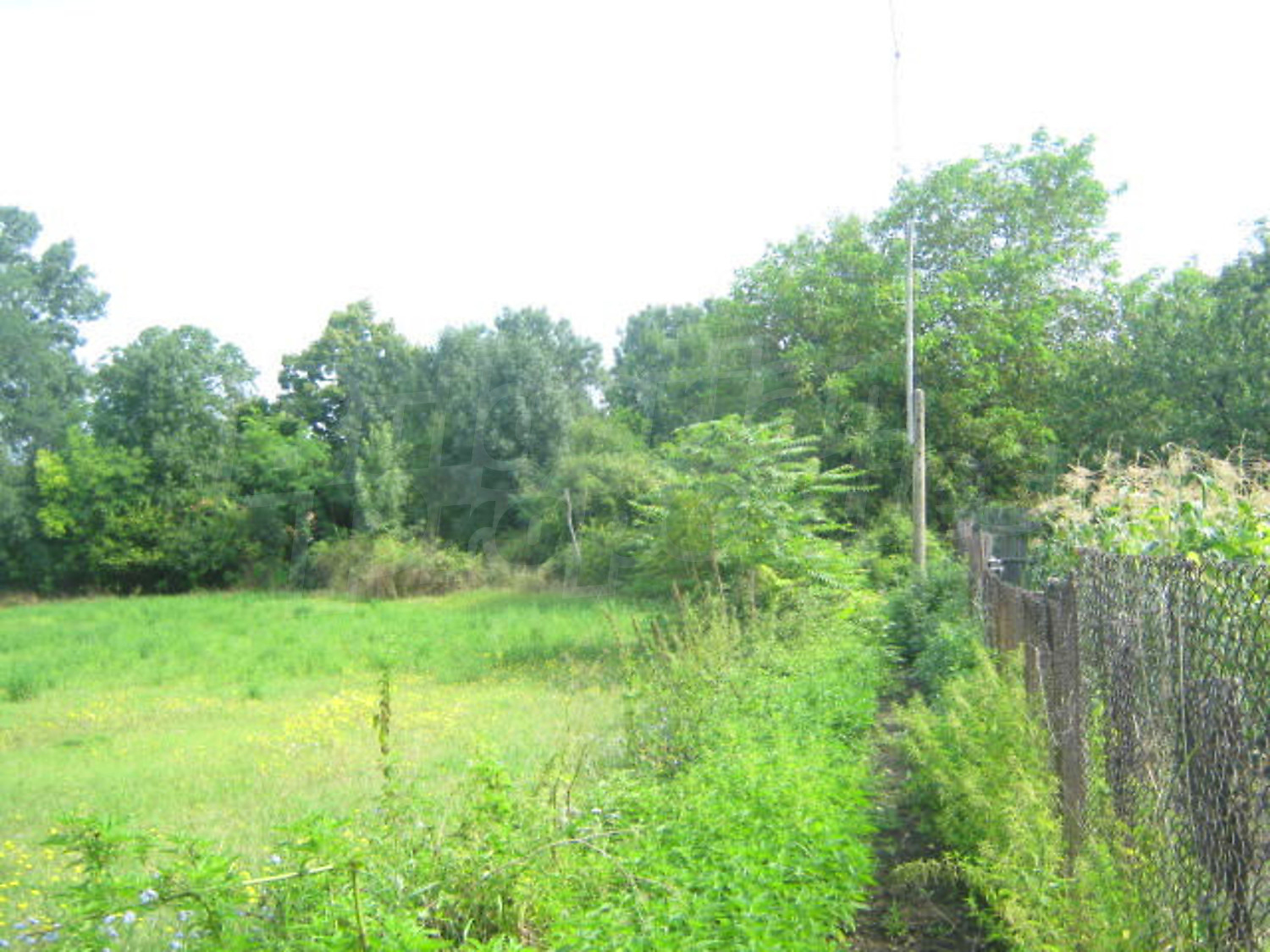 Gallery Picture 5