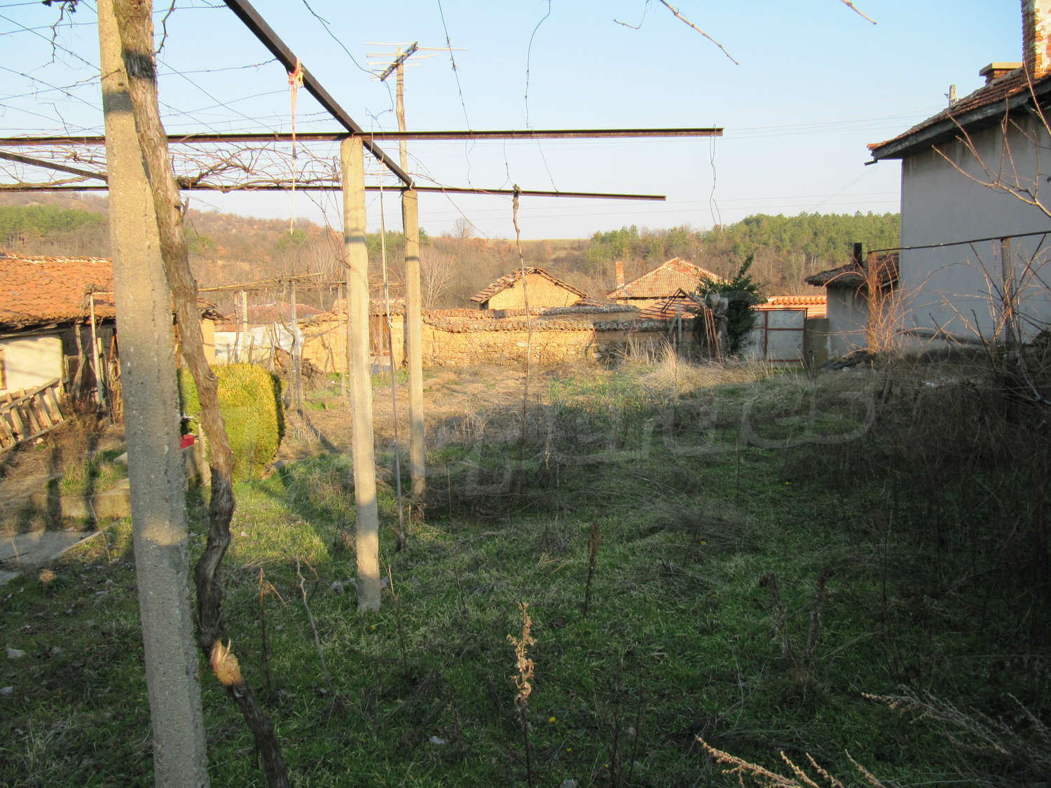 Gallery Picture 19