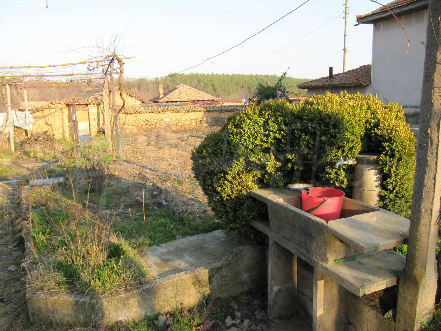 Gallery Picture 21