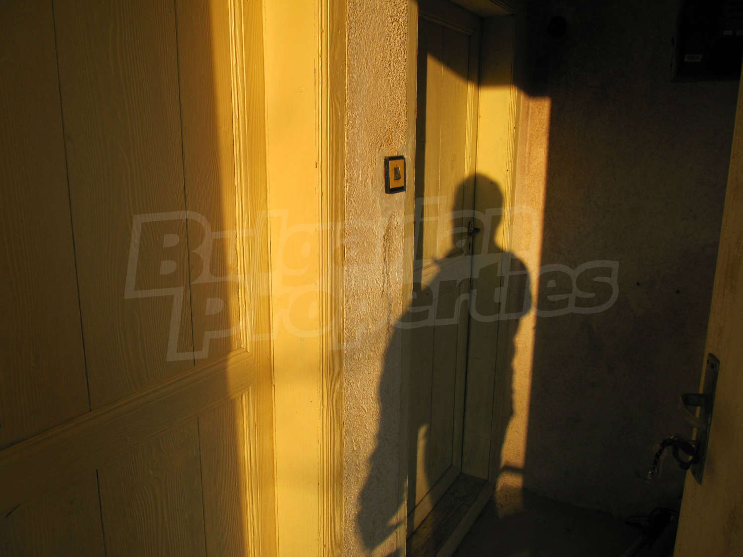 Gallery Picture 4