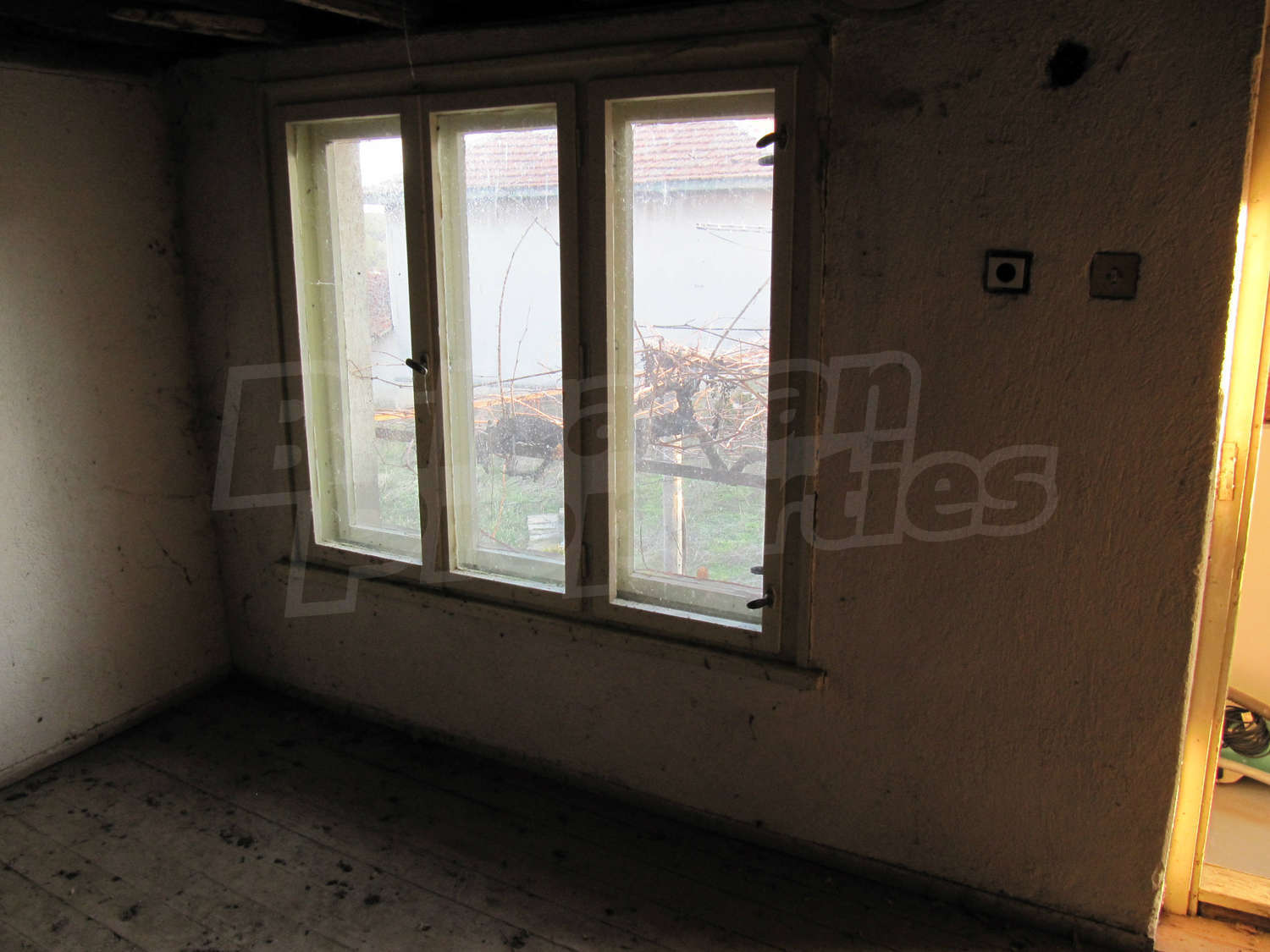 Gallery Picture 7