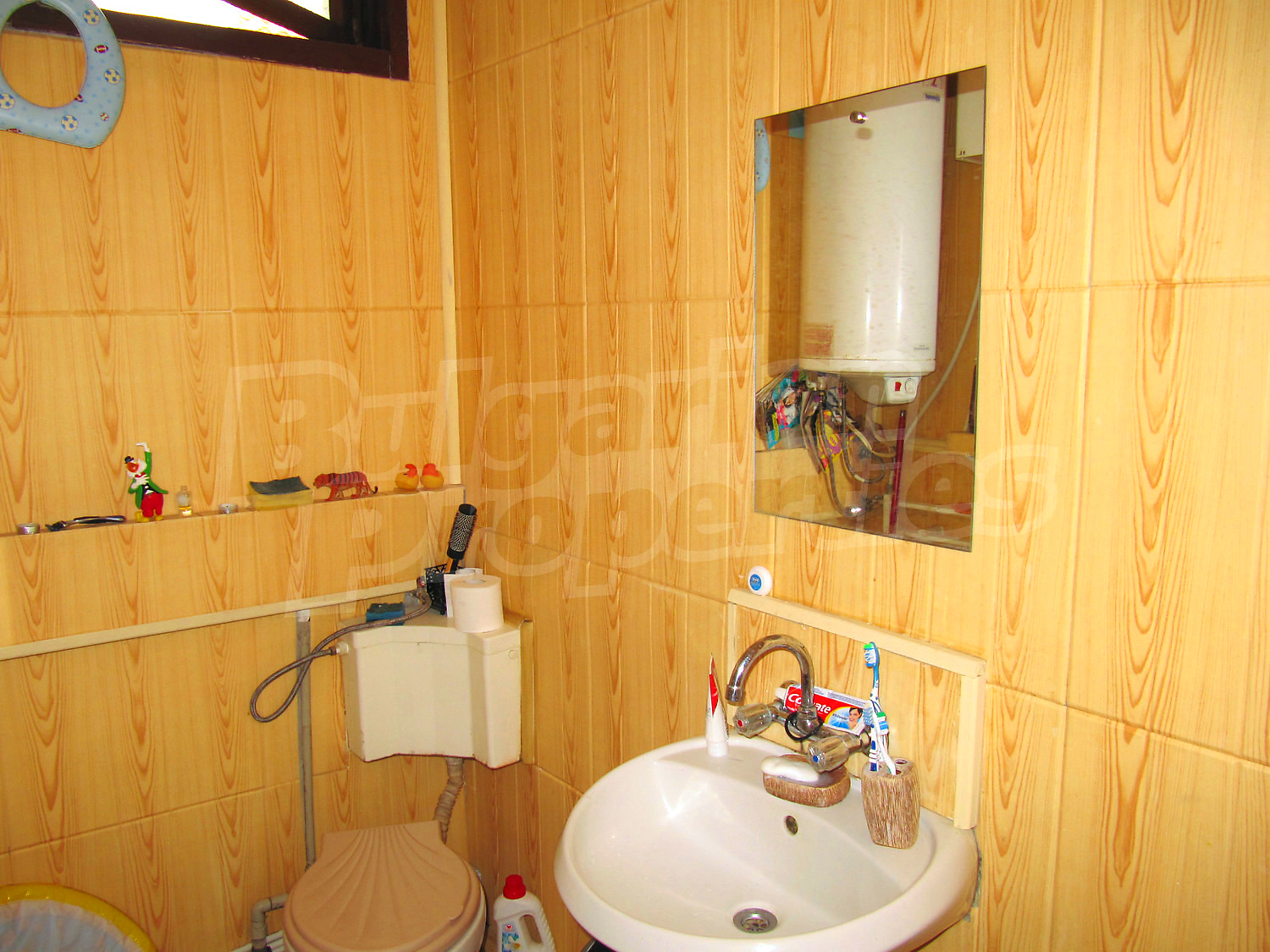 Gallery Picture 12