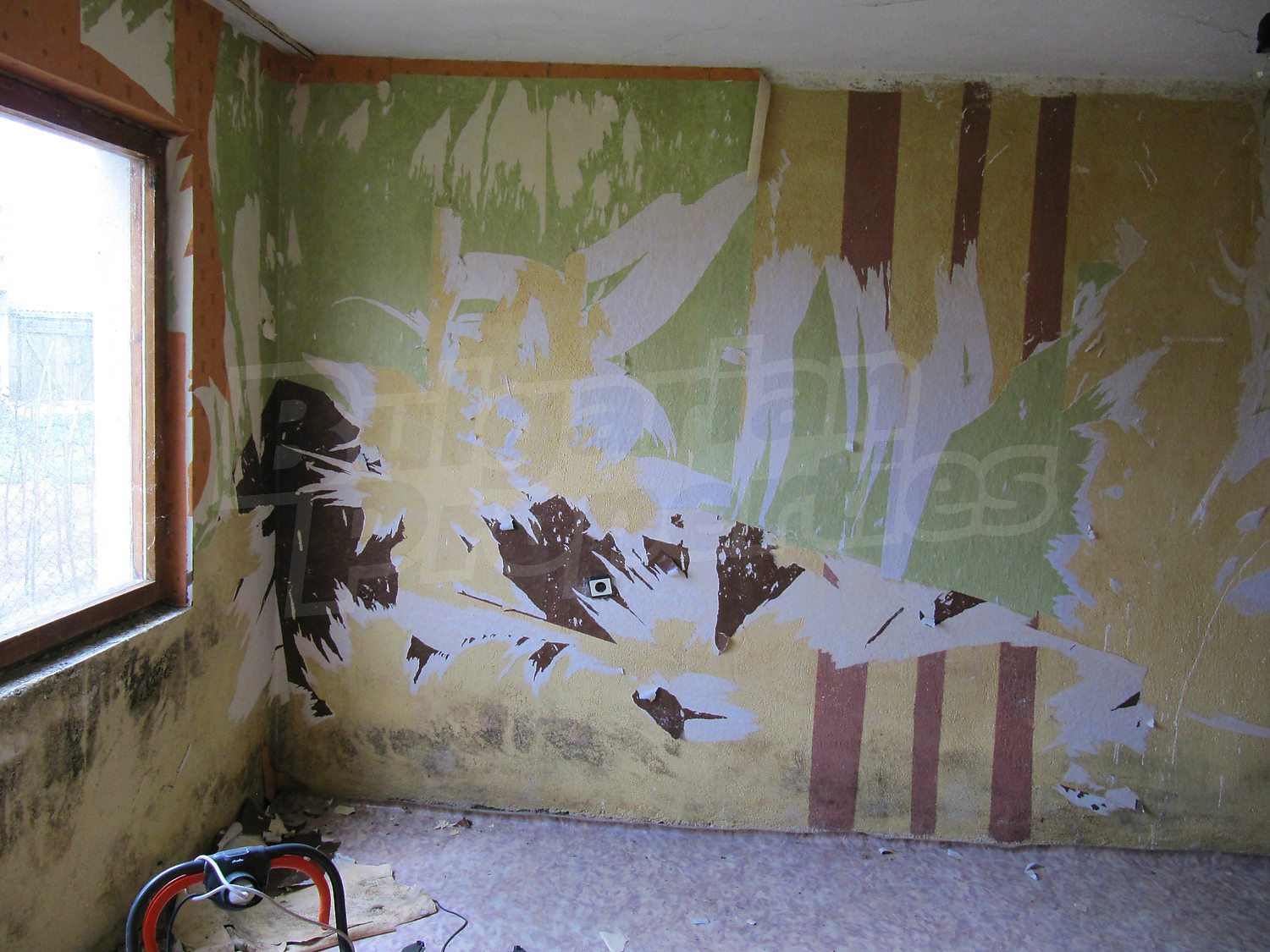 Gallery Picture 17