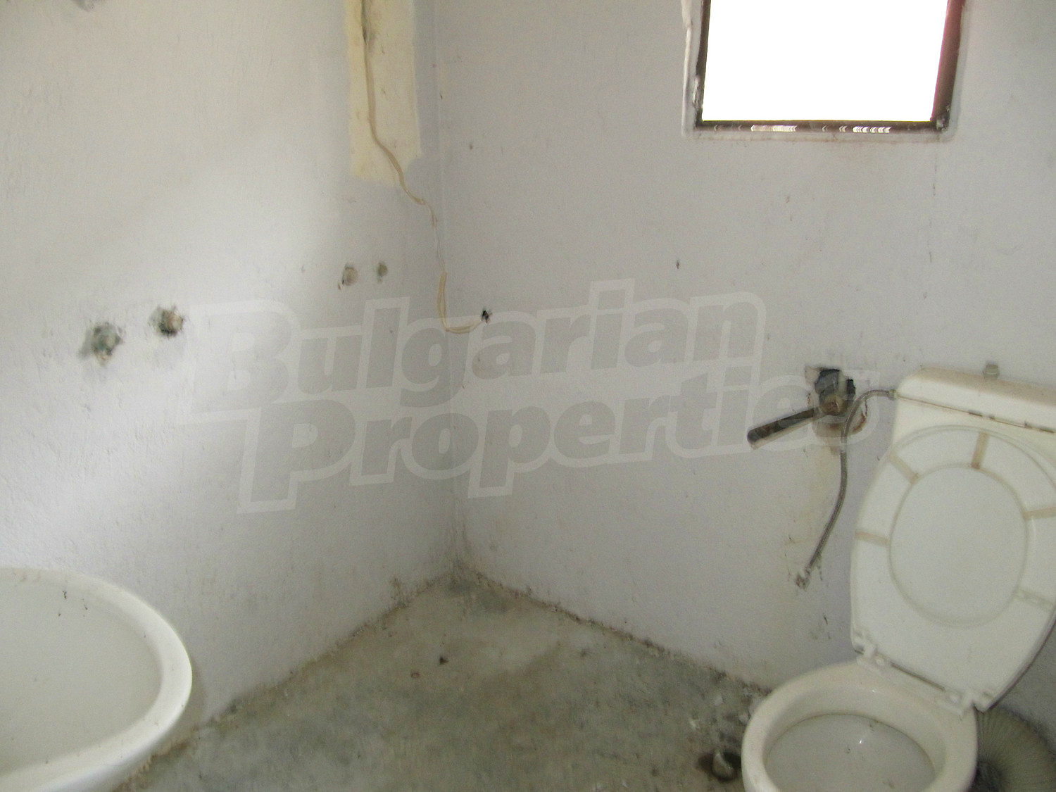 Gallery Picture 21