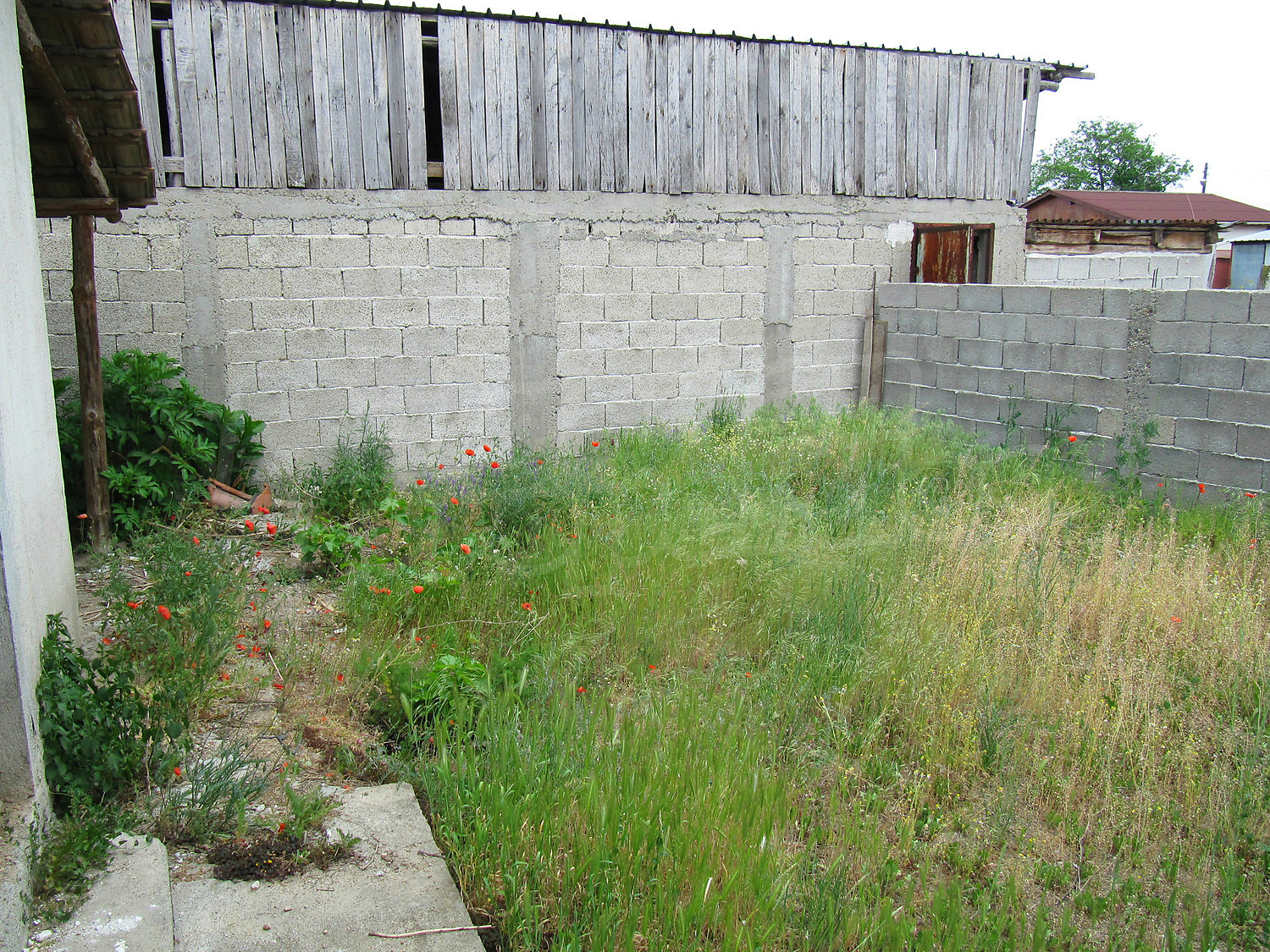 Gallery Picture 25