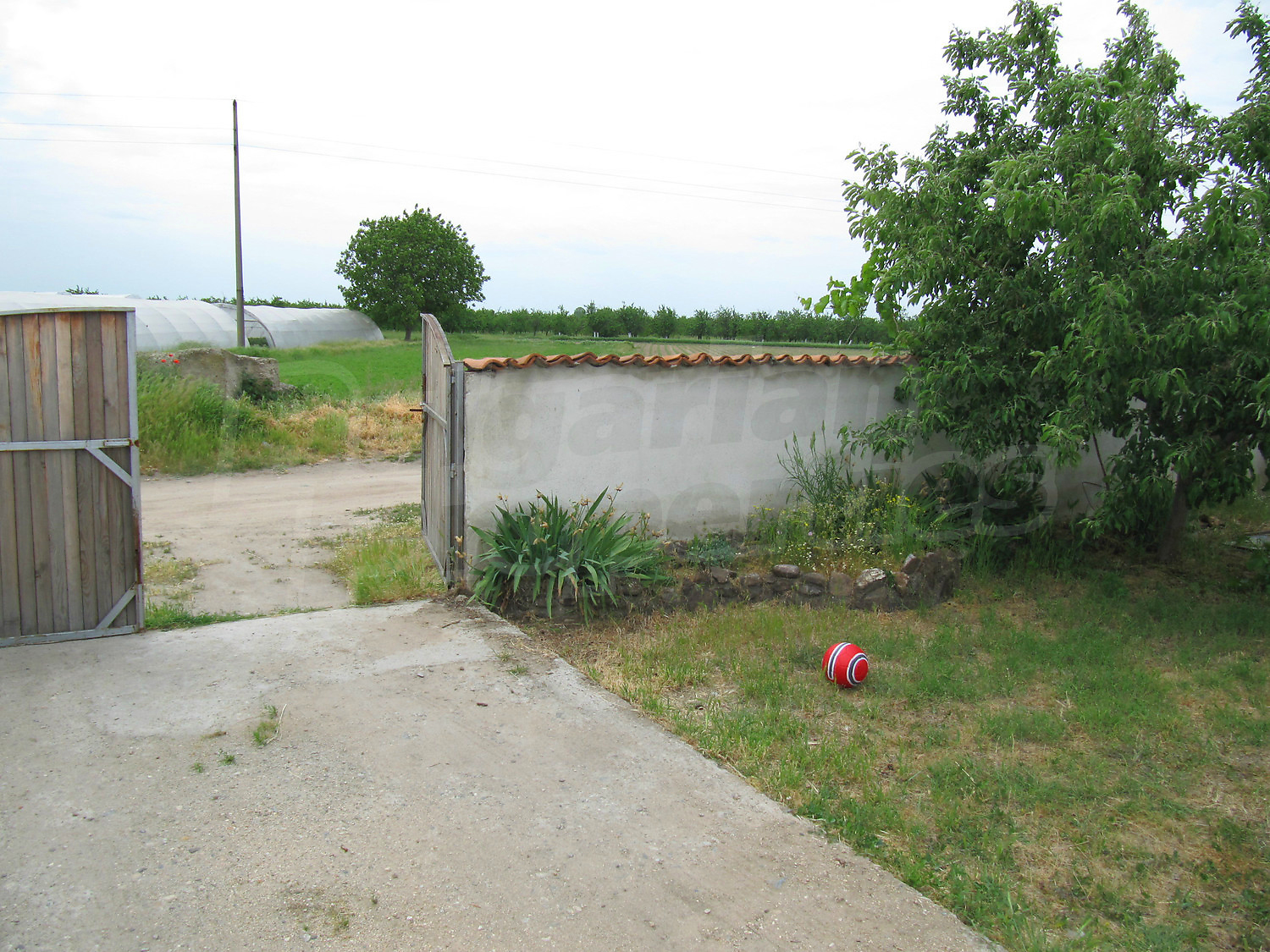 Gallery Picture 32