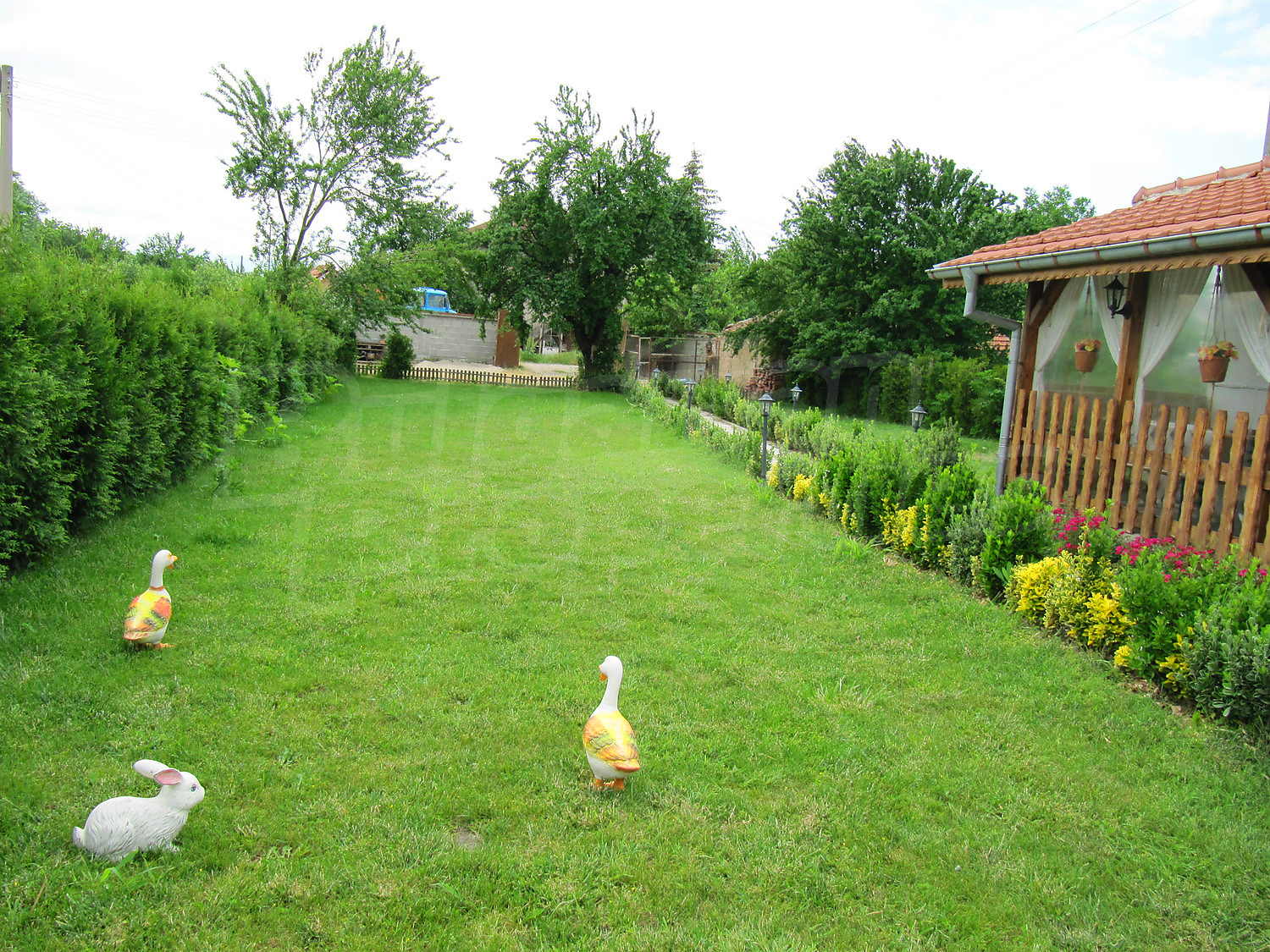 Gallery Picture 35