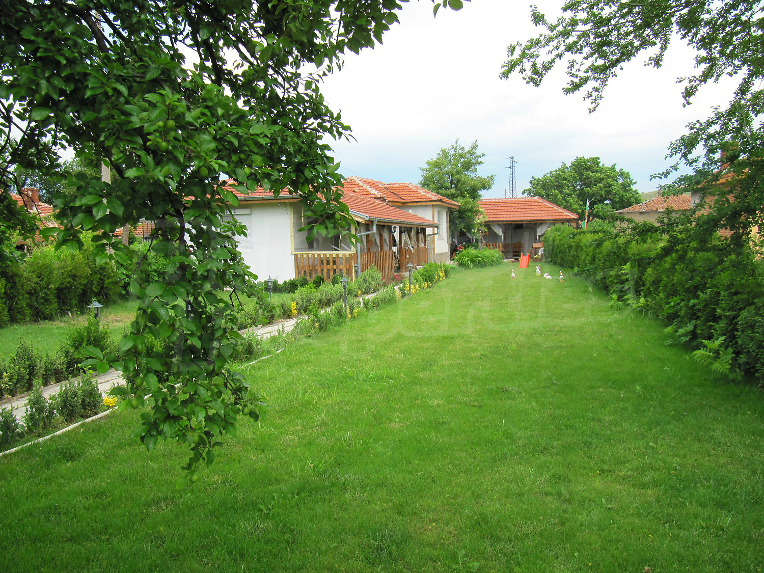Gallery Picture 36