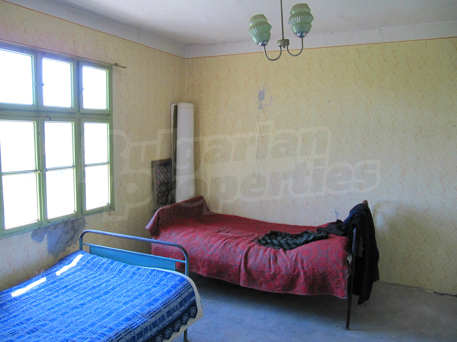 Gallery Picture 14