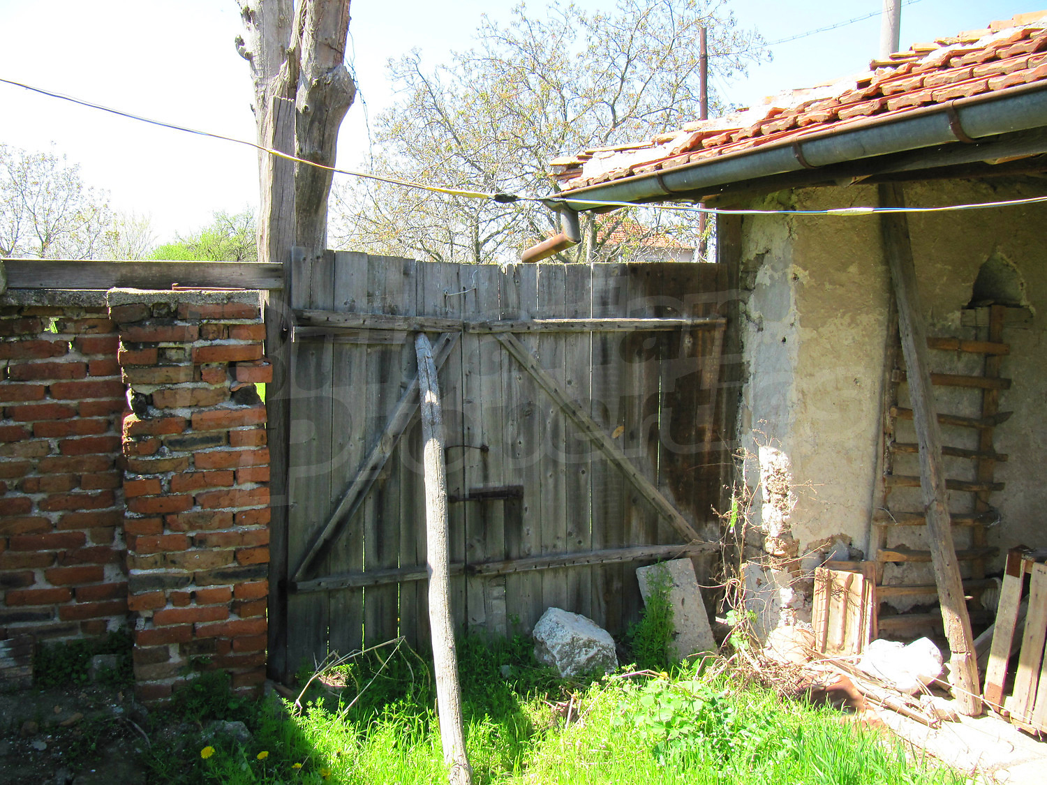 Gallery Picture 23