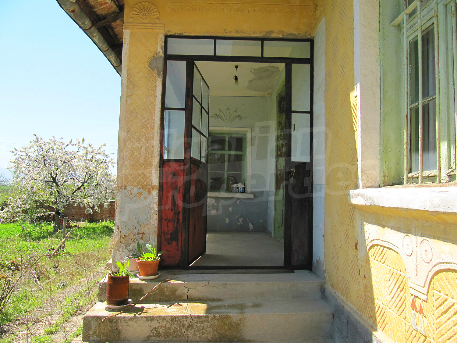 Gallery Picture 5