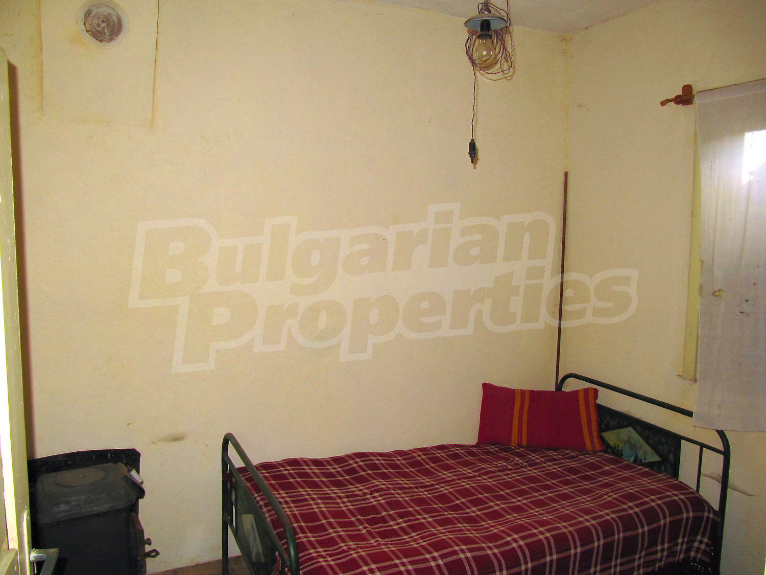 Gallery Picture 10