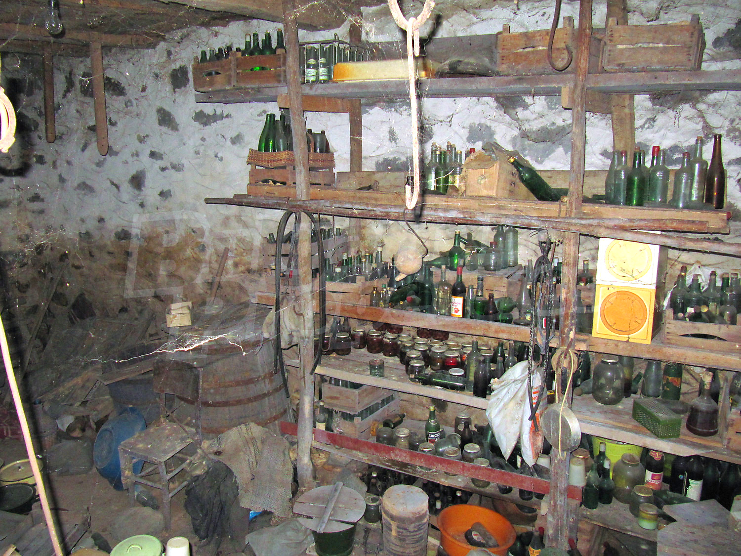 Gallery Picture 14