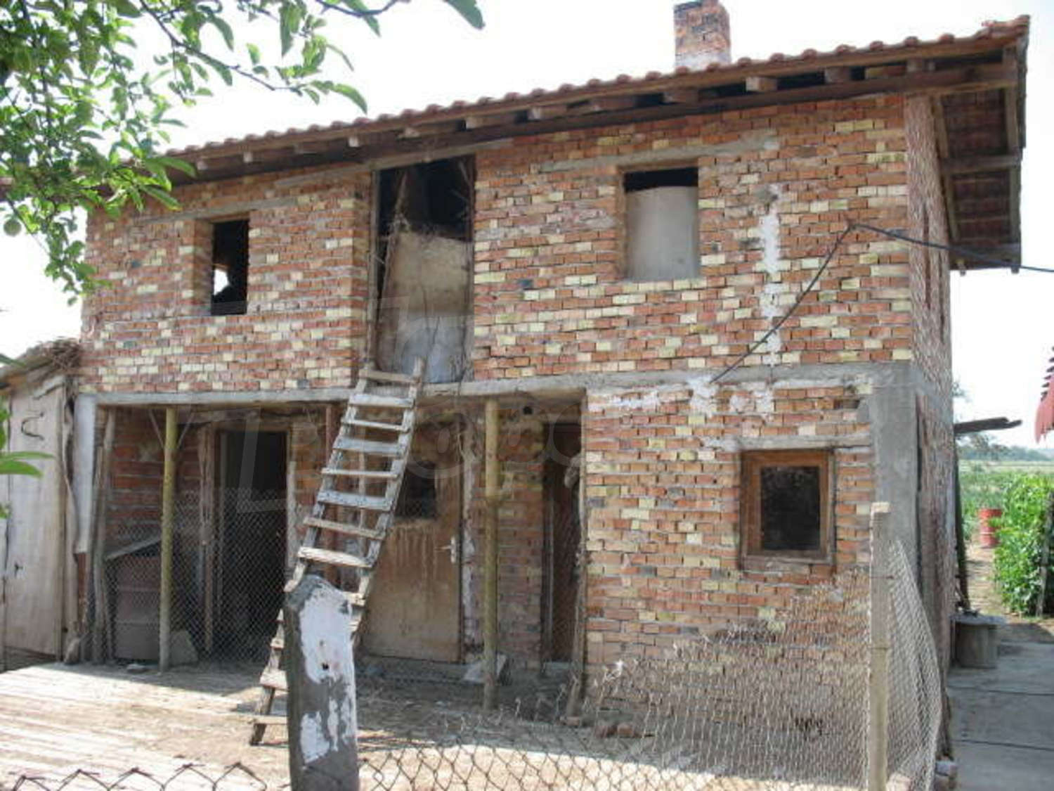 Gallery Picture 16