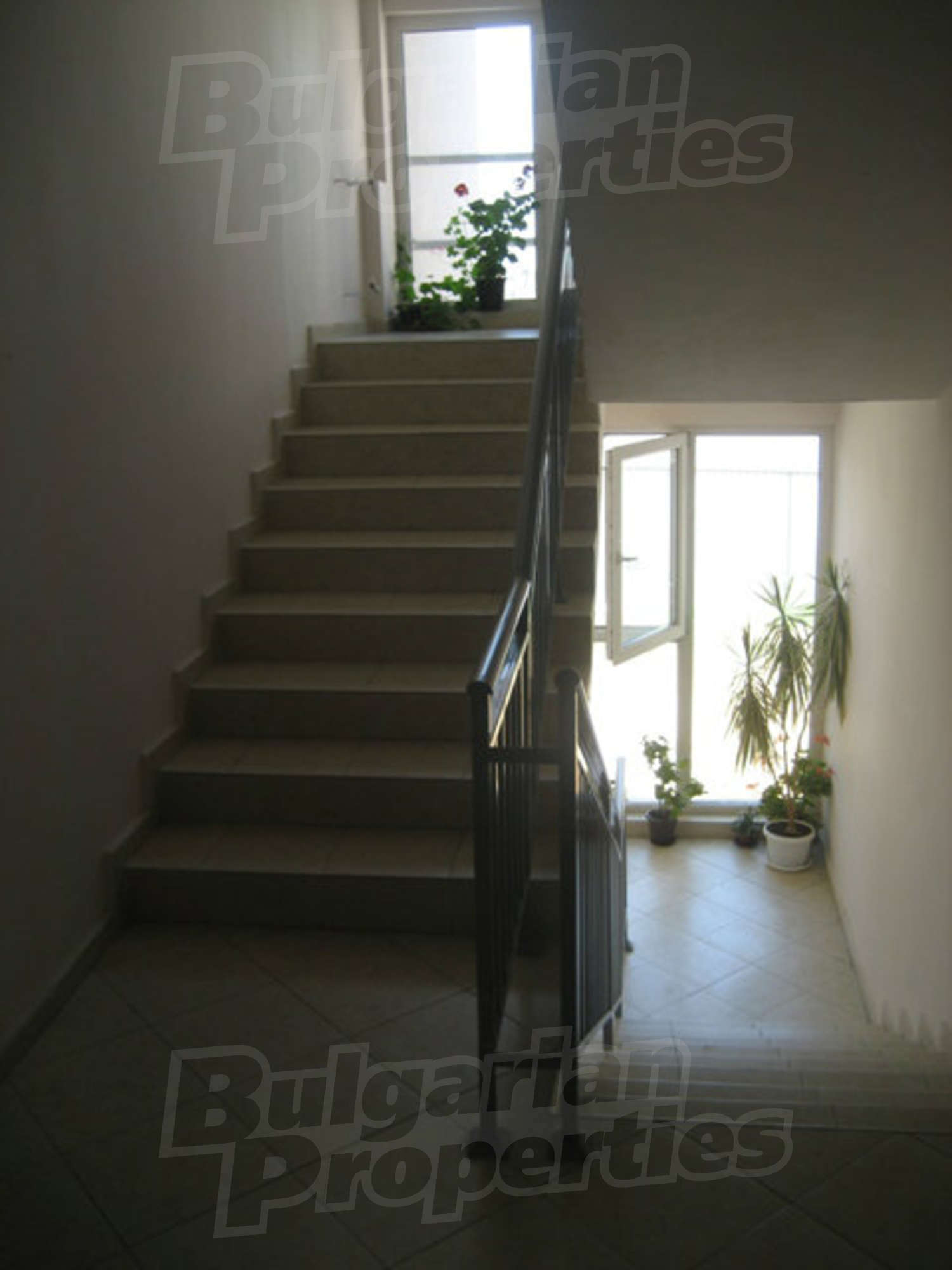 Gallery Picture 2