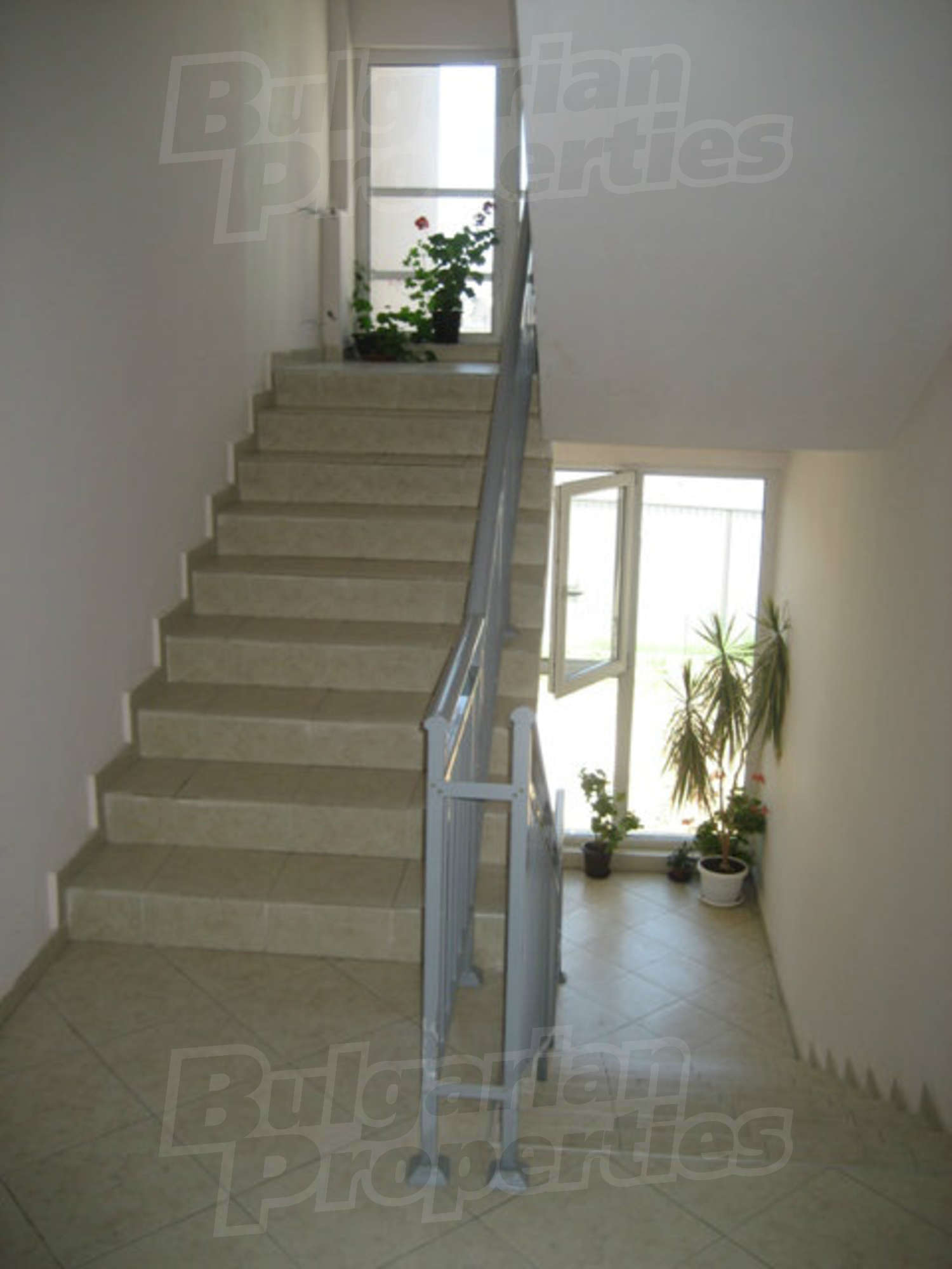 Gallery Picture 3