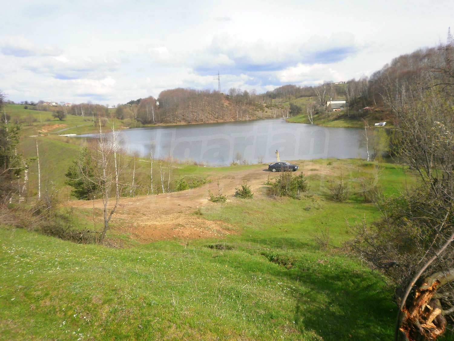 Gallery Picture 12