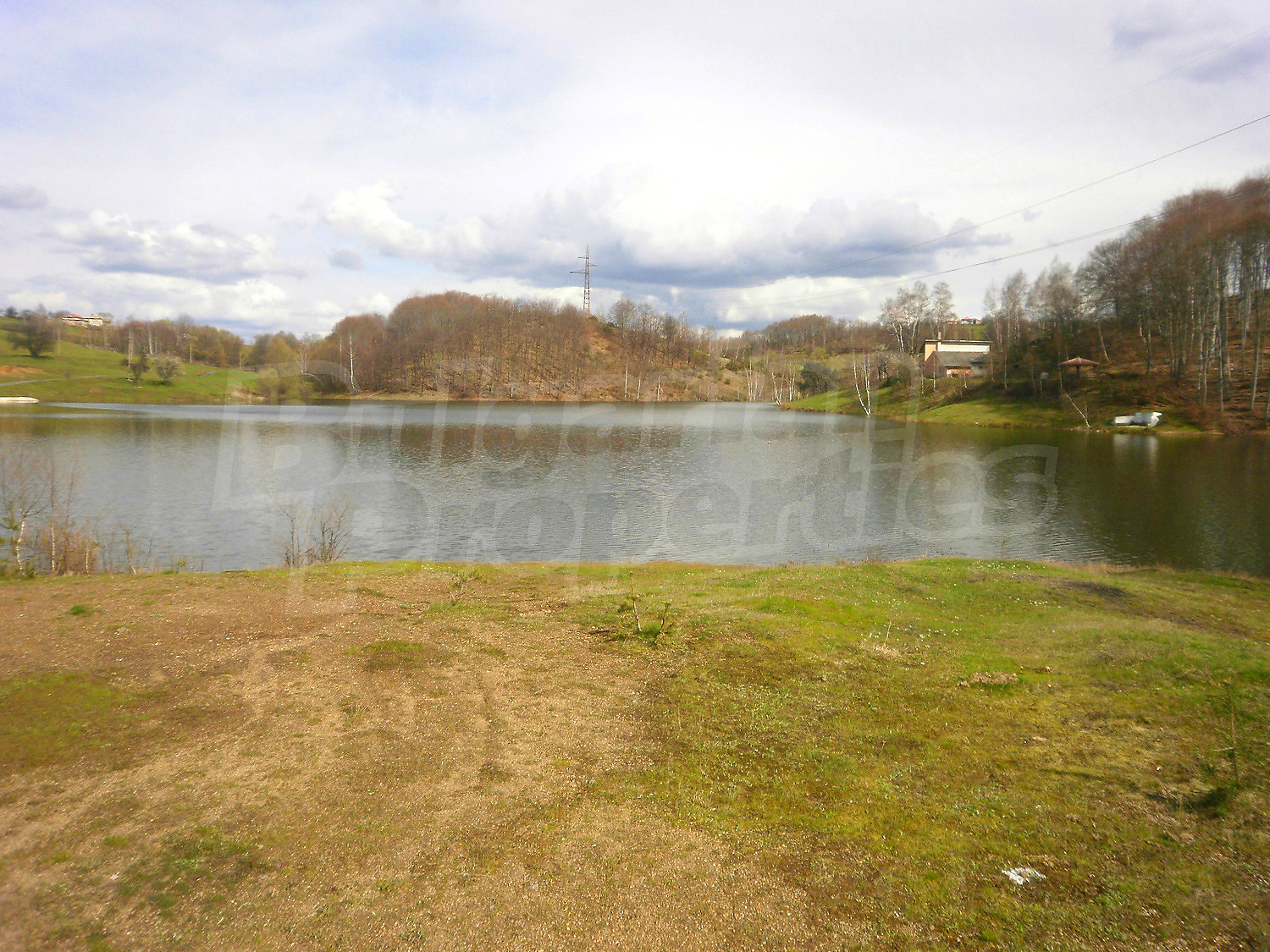 Gallery Picture 6