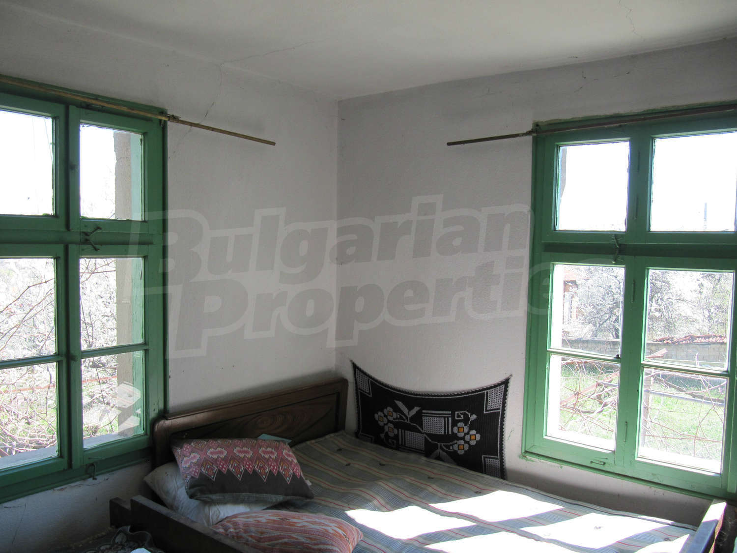 Gallery Picture 15