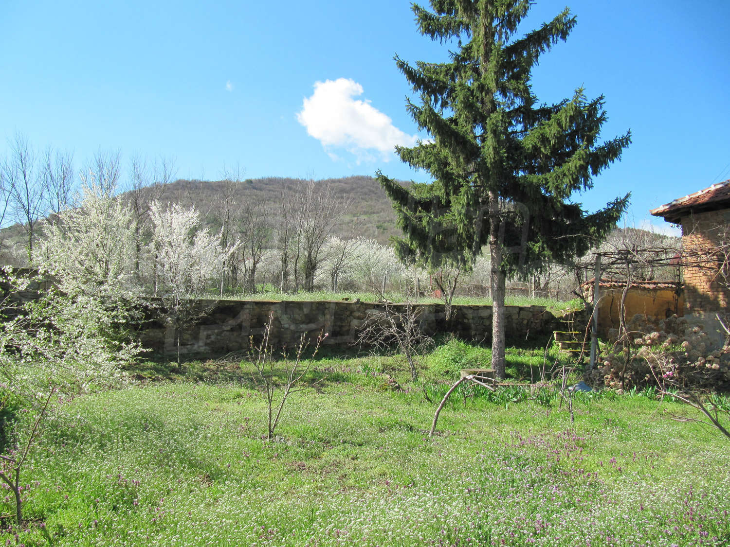 Gallery Picture 16