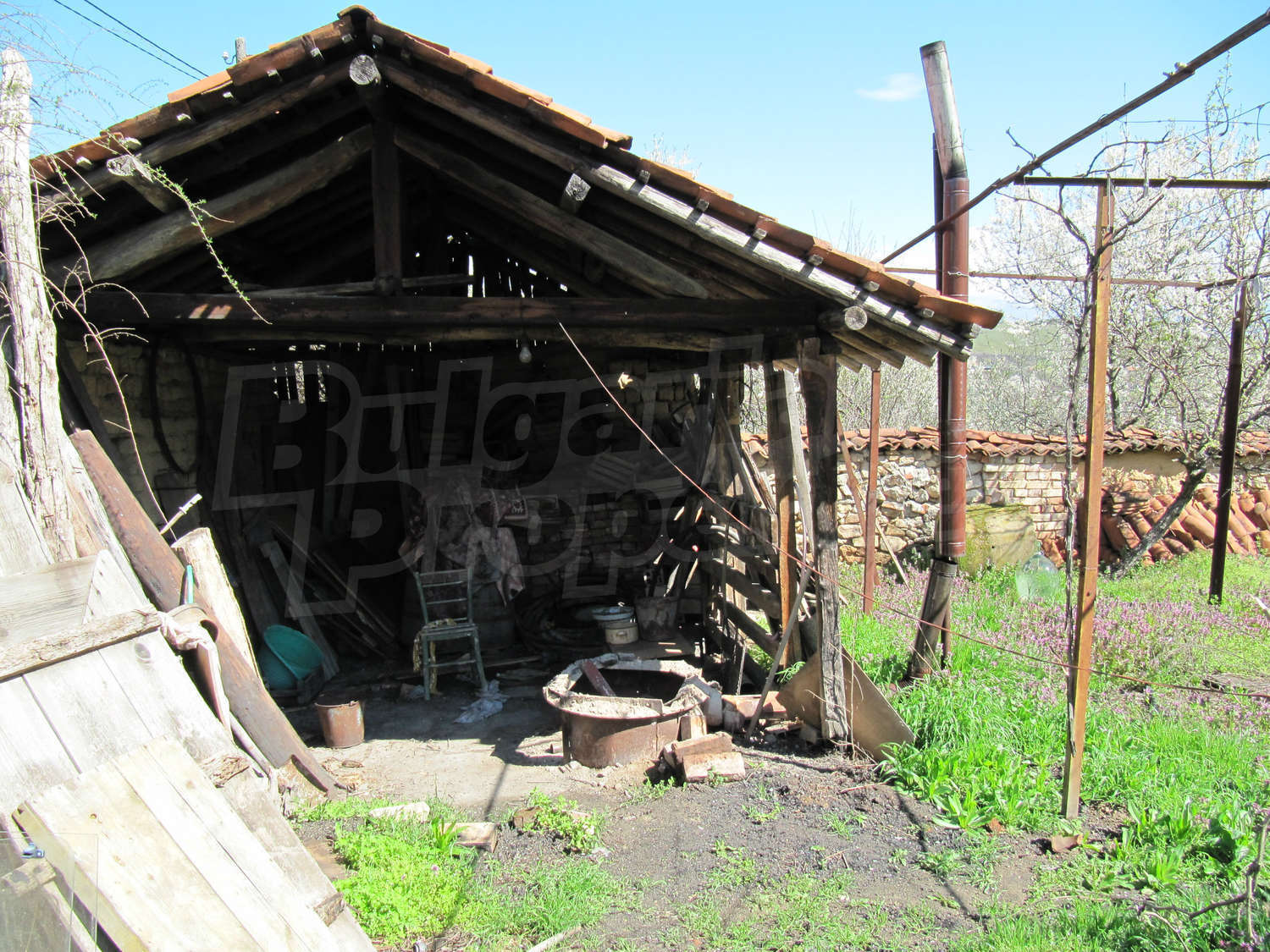 Gallery Picture 39