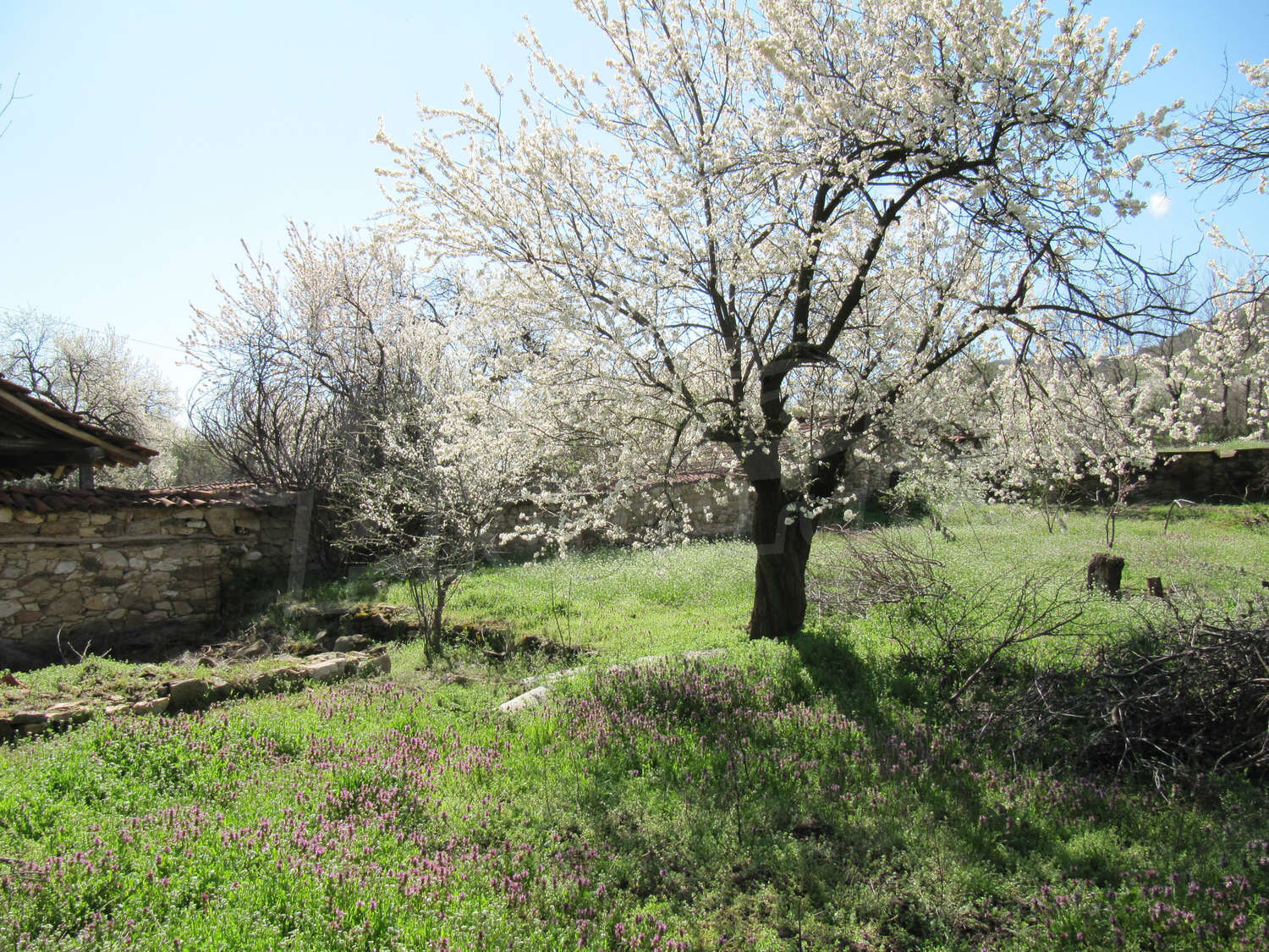 Gallery Picture 42