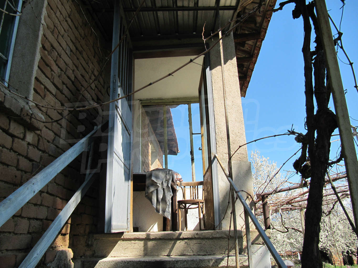 Gallery Picture 5