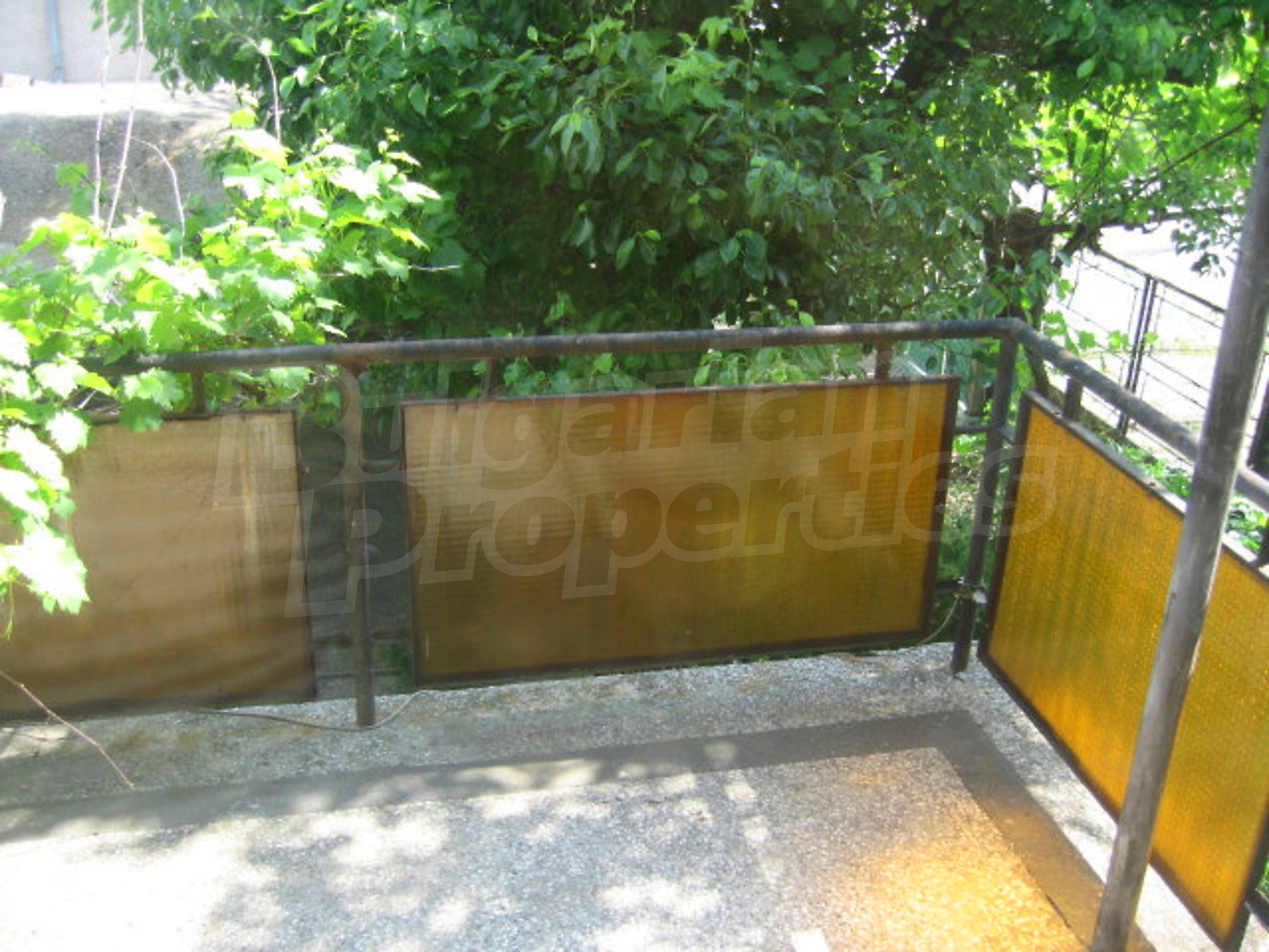 Gallery Picture 17