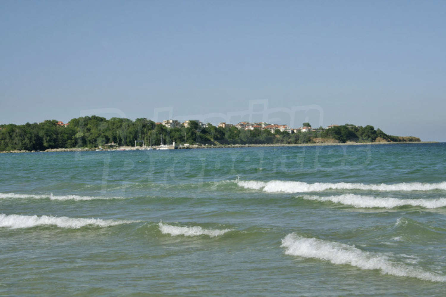 Gallery Picture 20
