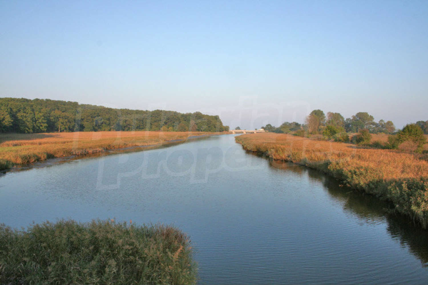 Gallery Picture 21