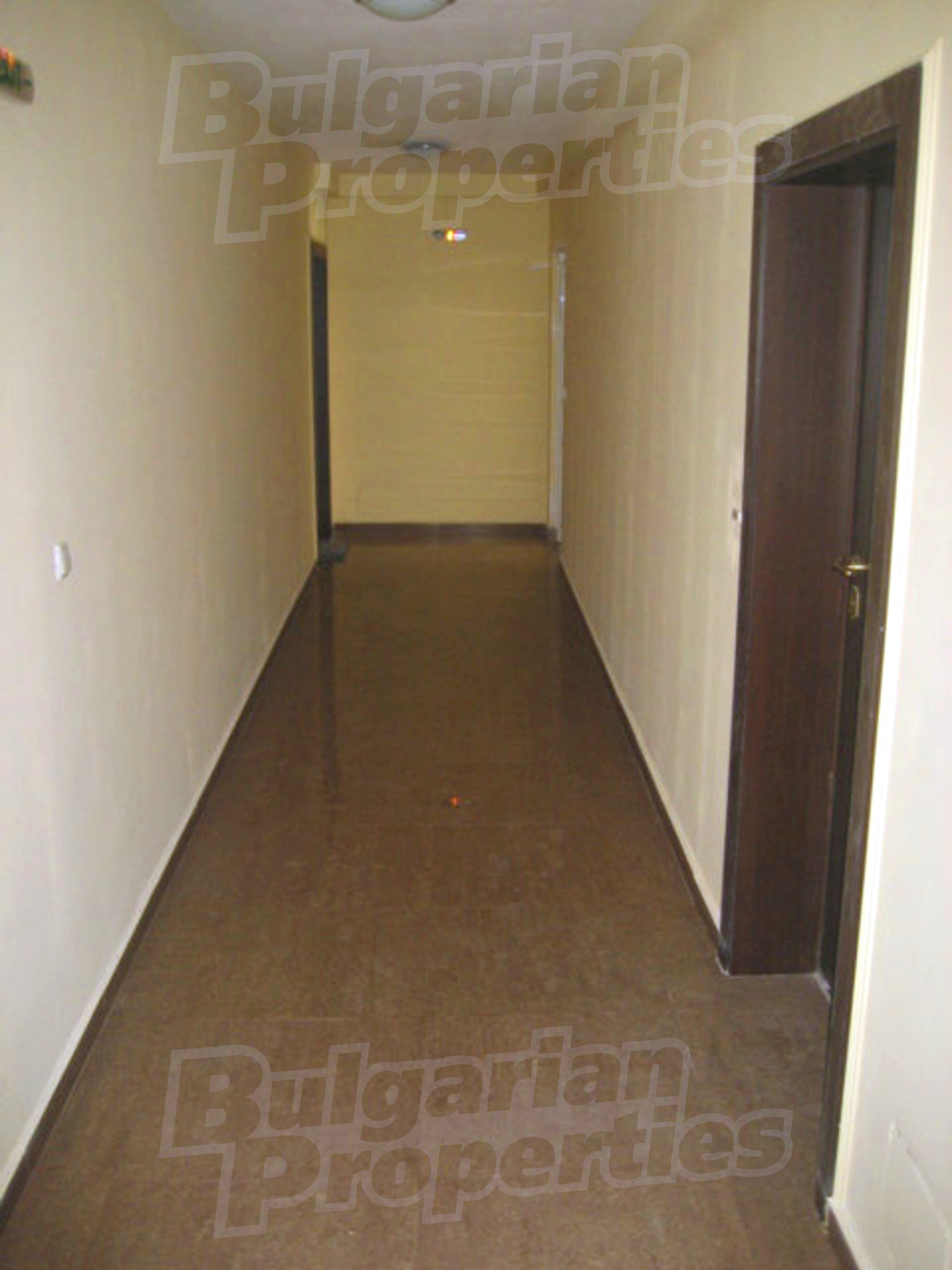 Gallery Picture 11