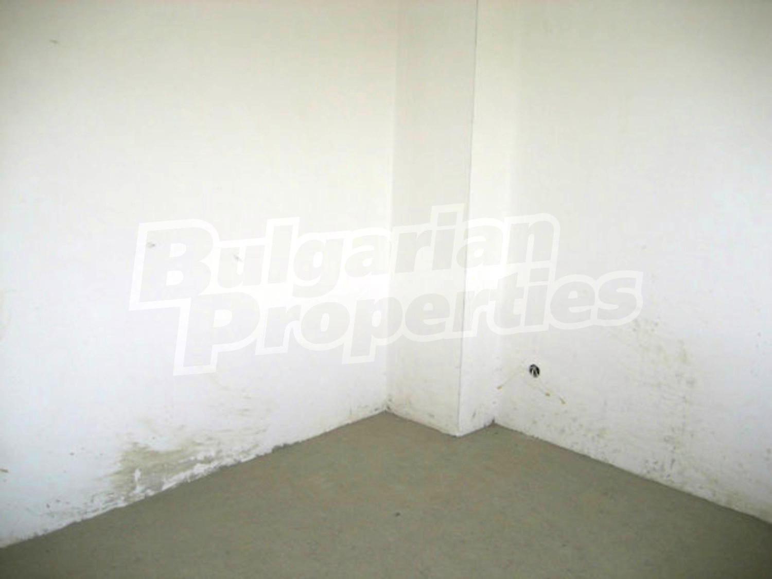 Gallery Picture 8