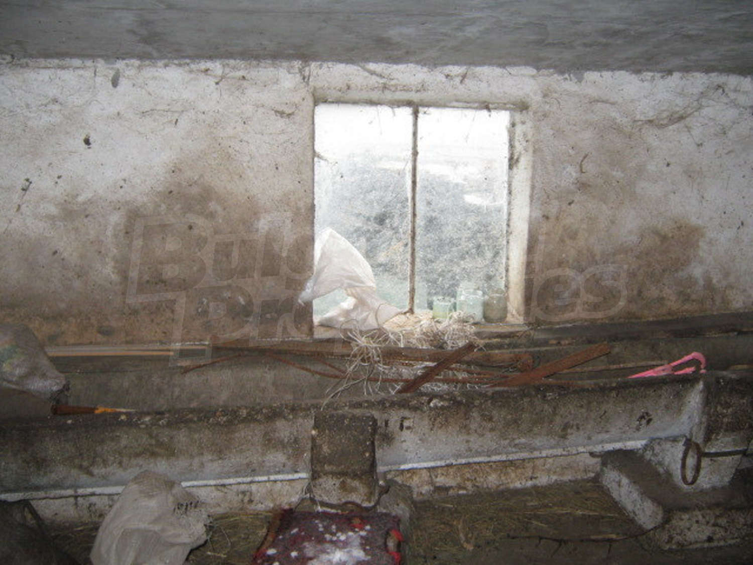 Gallery Picture 11