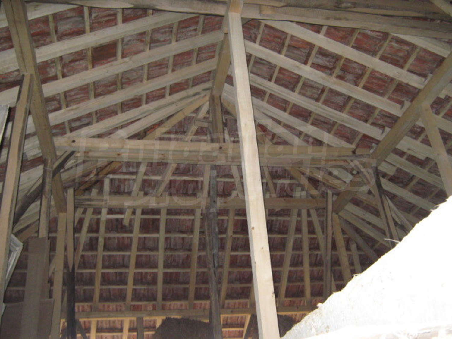 Gallery Picture 12