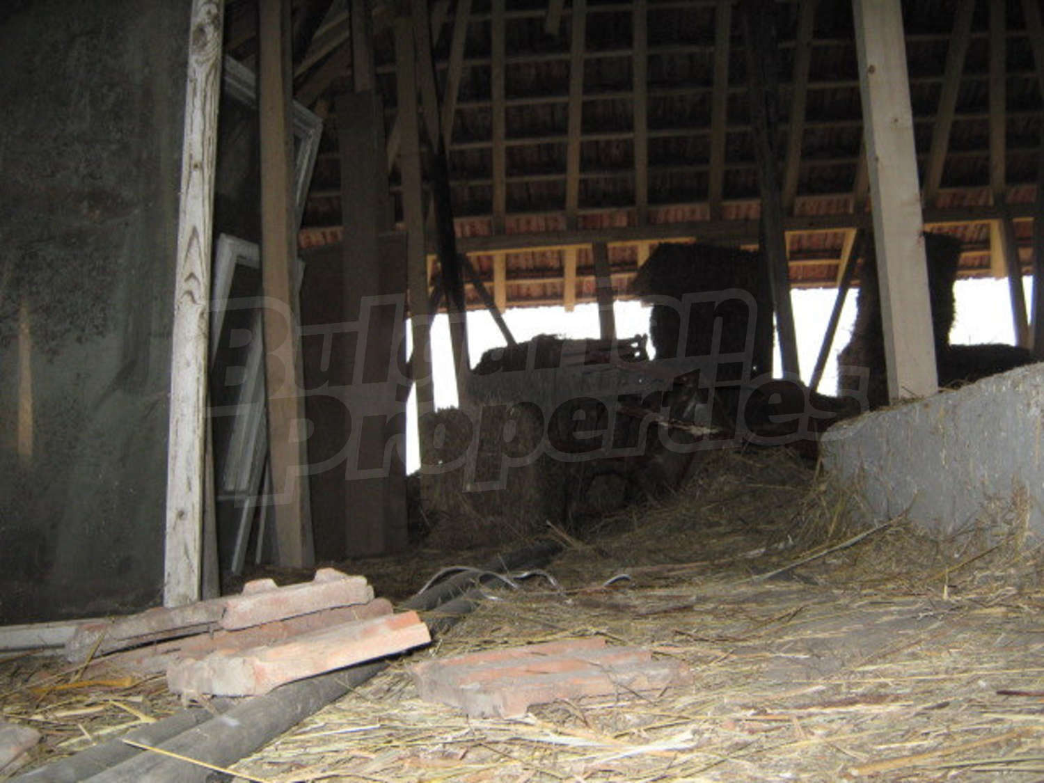 Gallery Picture 13