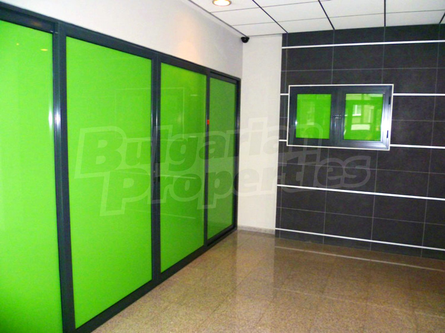 Gallery Picture 19