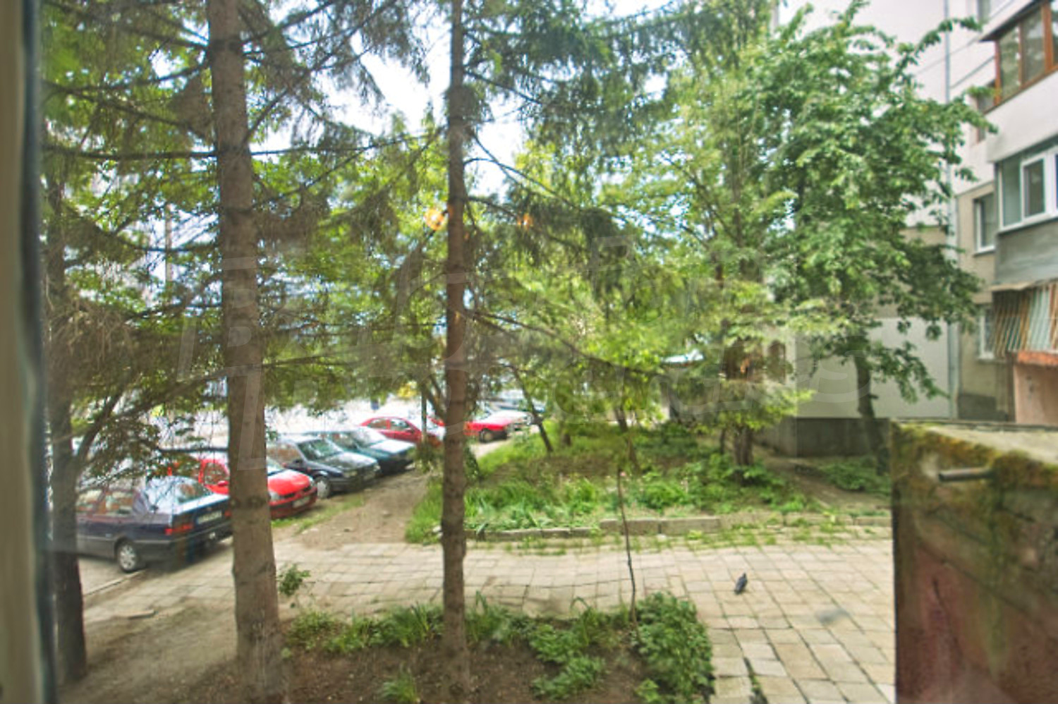 Gallery Picture 10