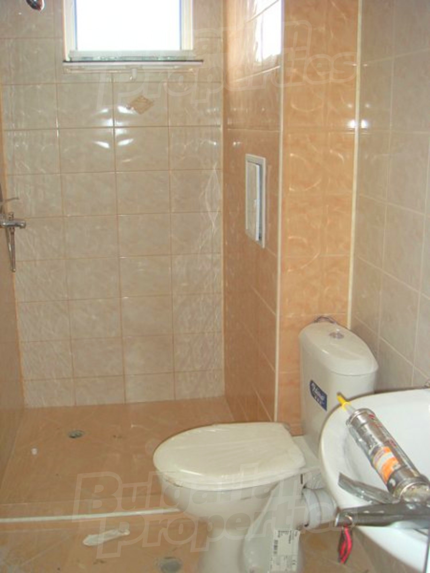 Gallery Picture 14