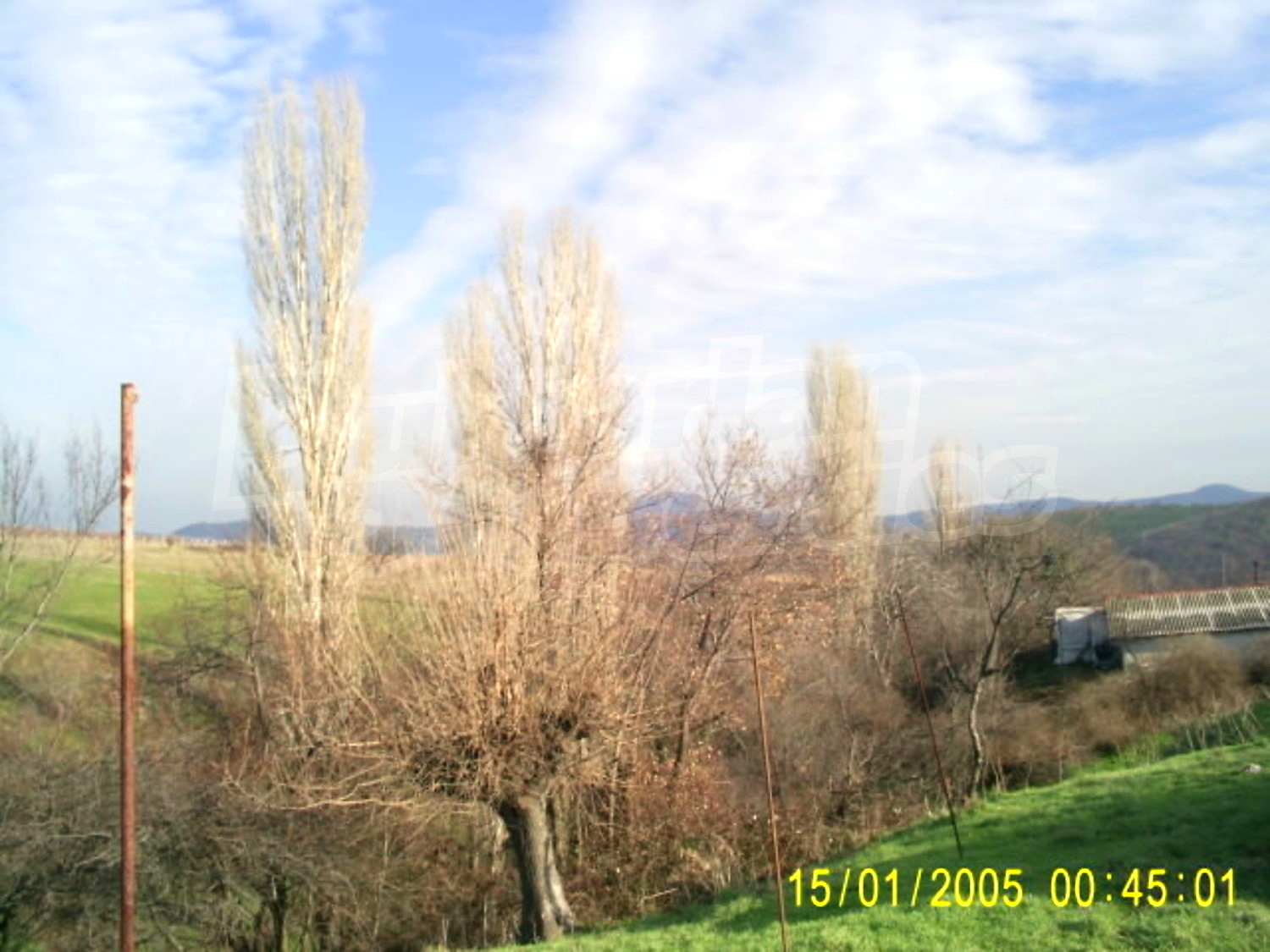 Gallery Picture 20