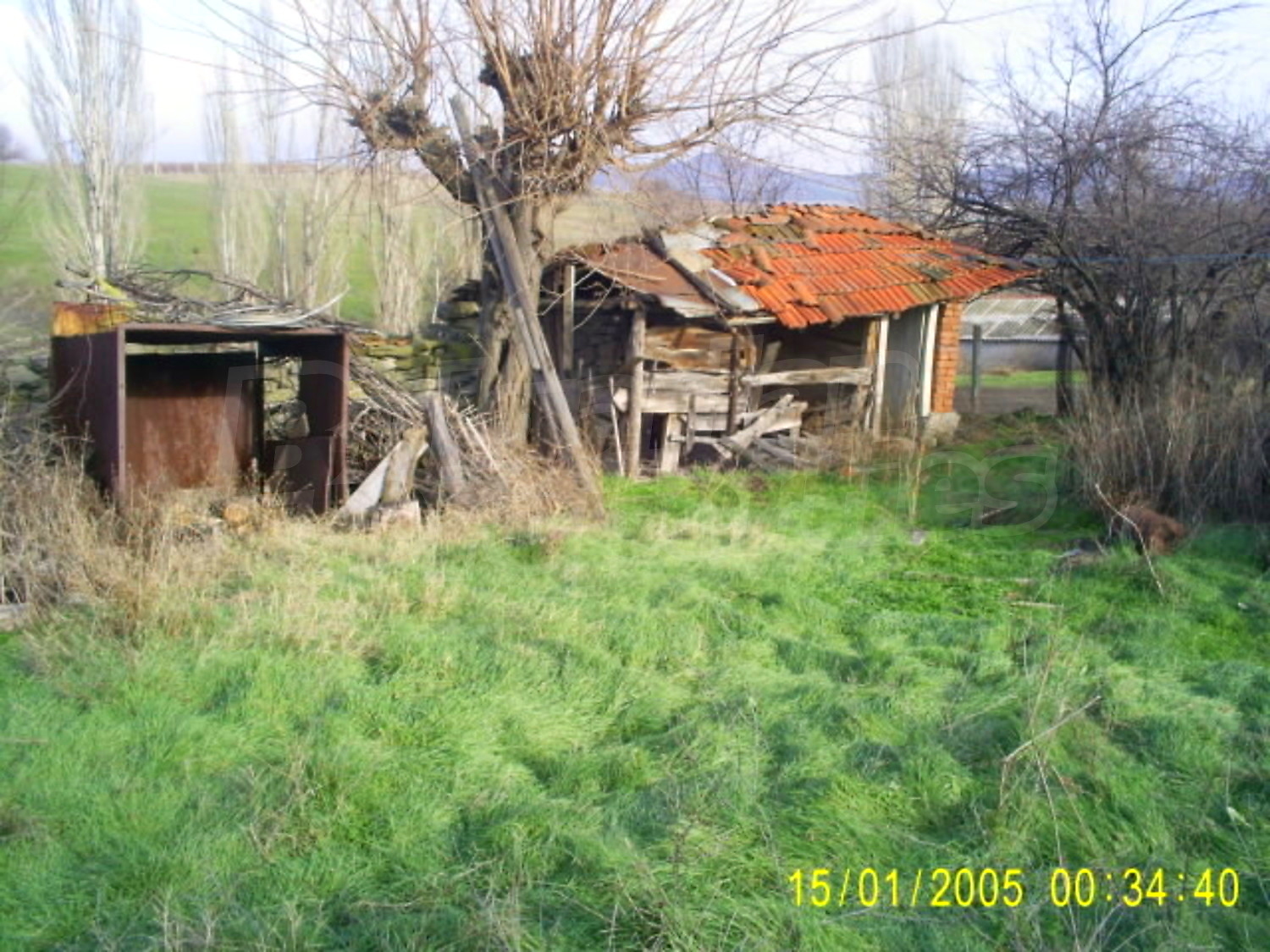 Gallery Picture 9