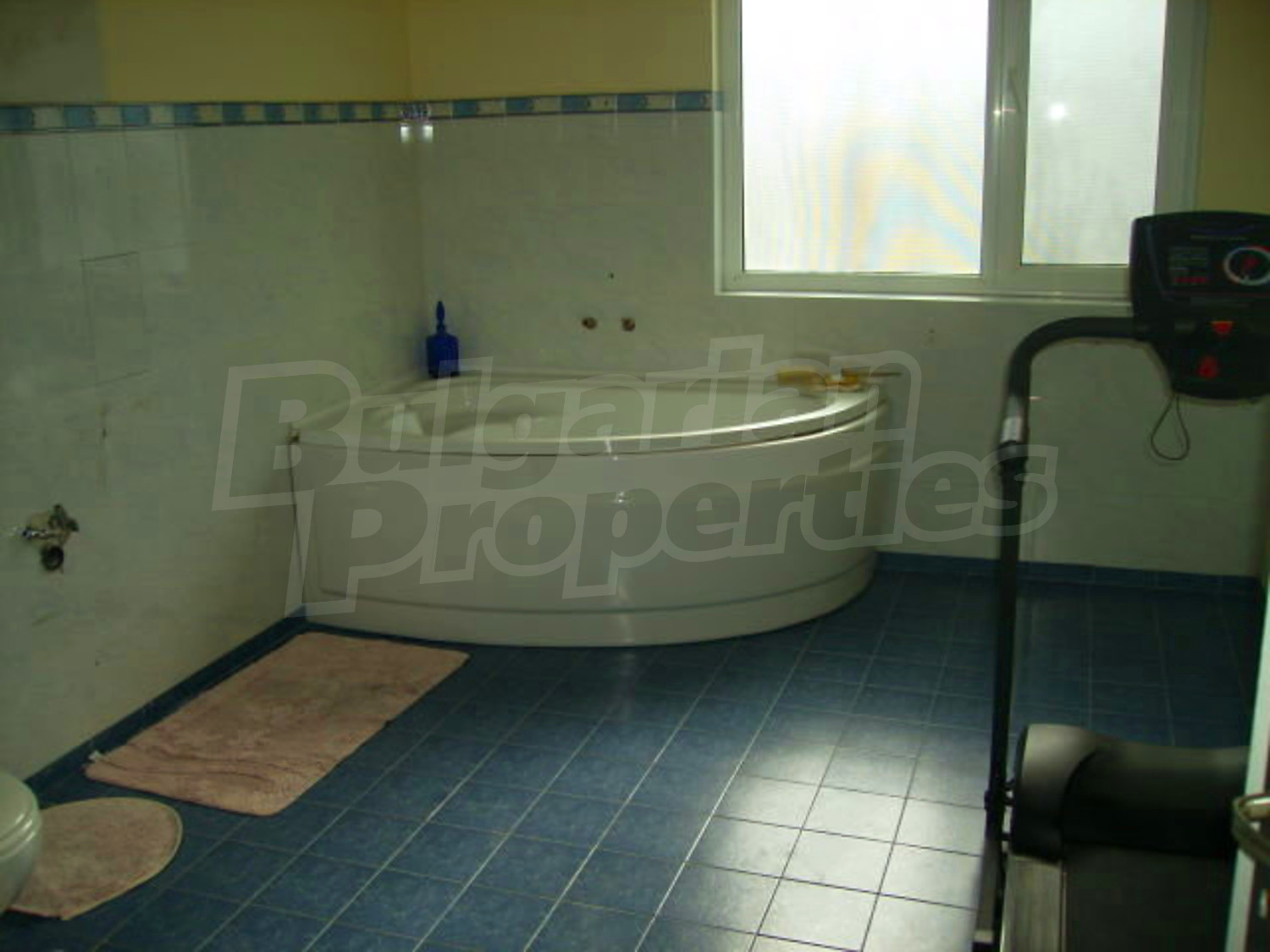 Gallery Picture 13