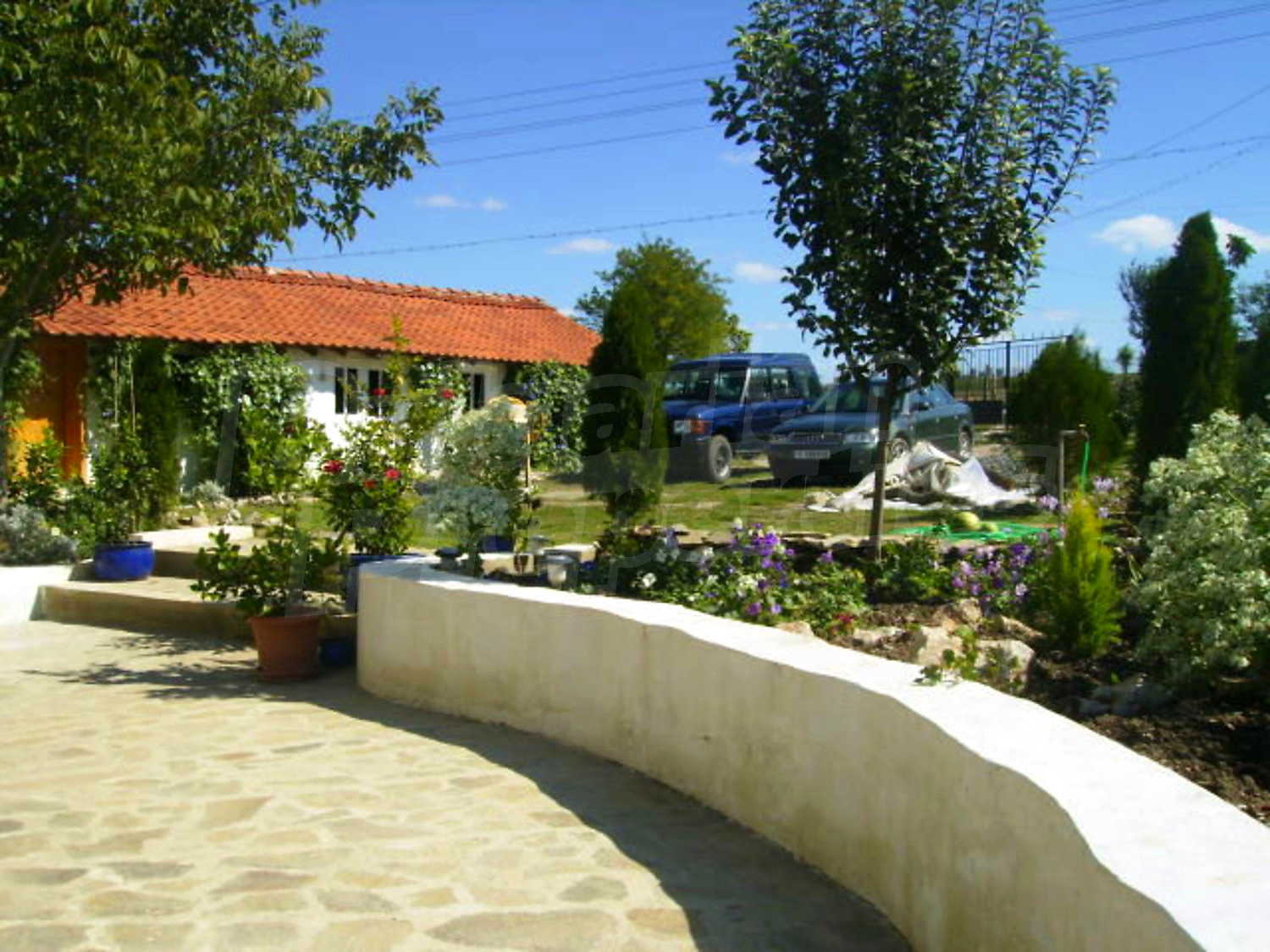 Gallery Picture 17